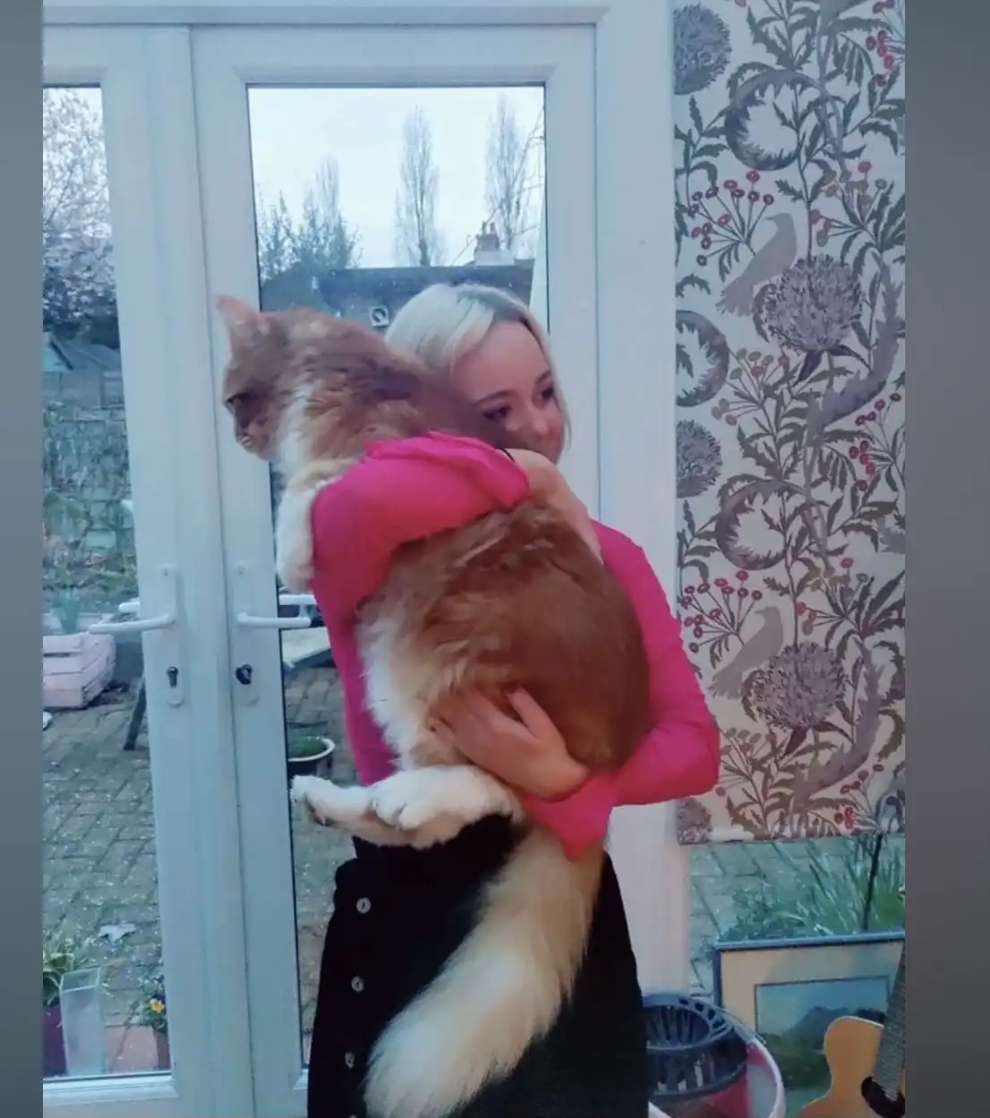 image-6