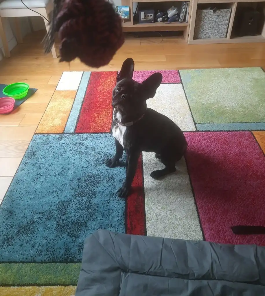 image-16