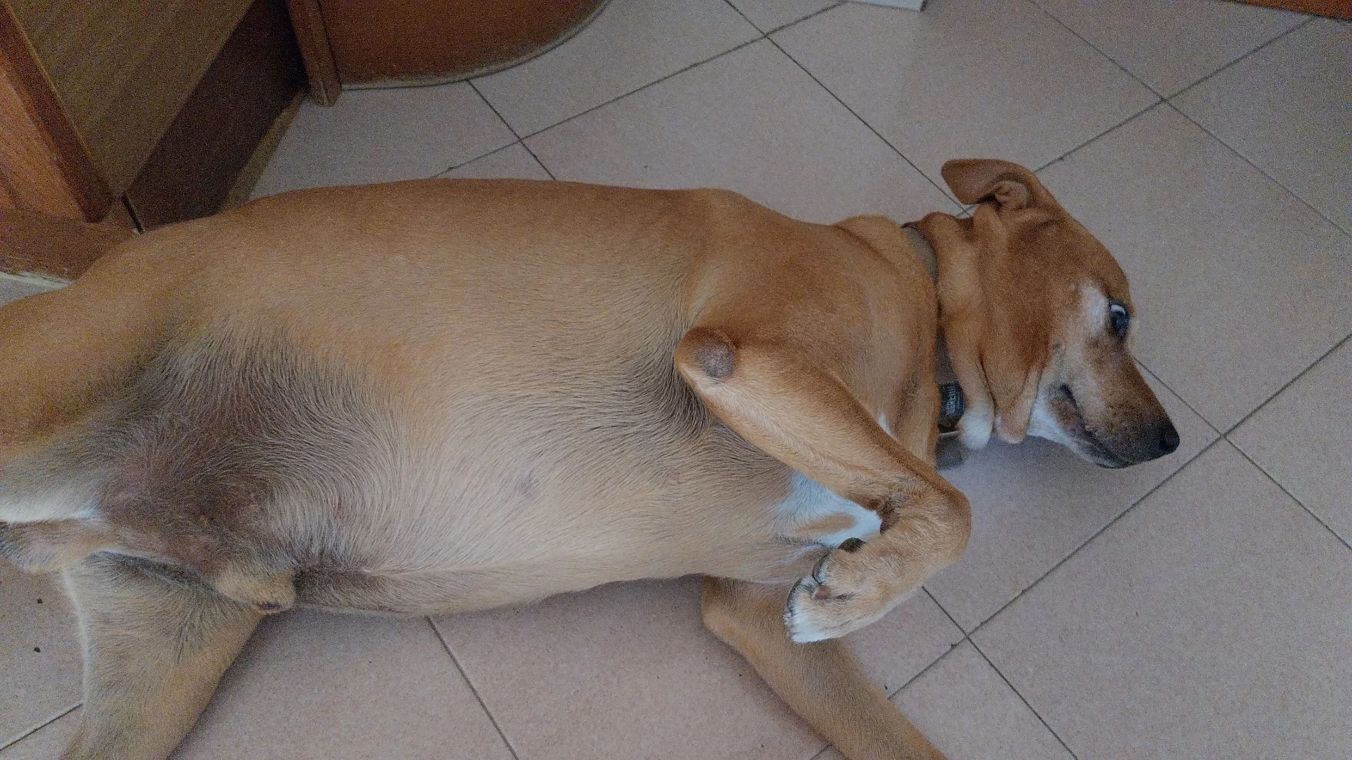 image-8