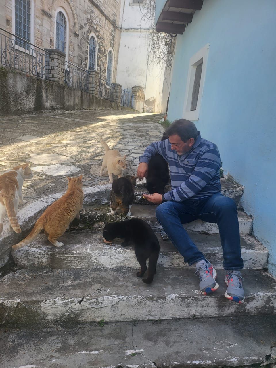 image-4