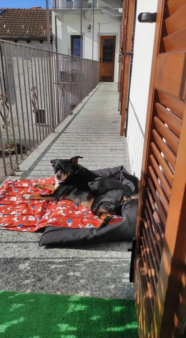 image-11