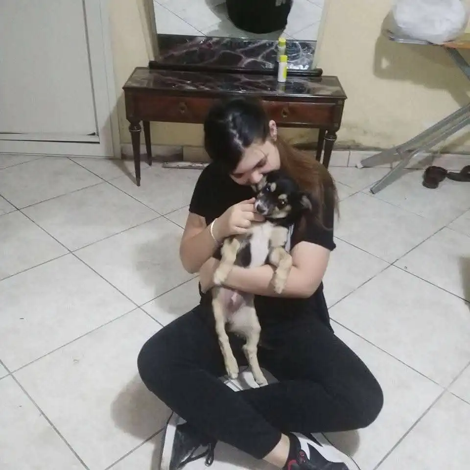 image-8