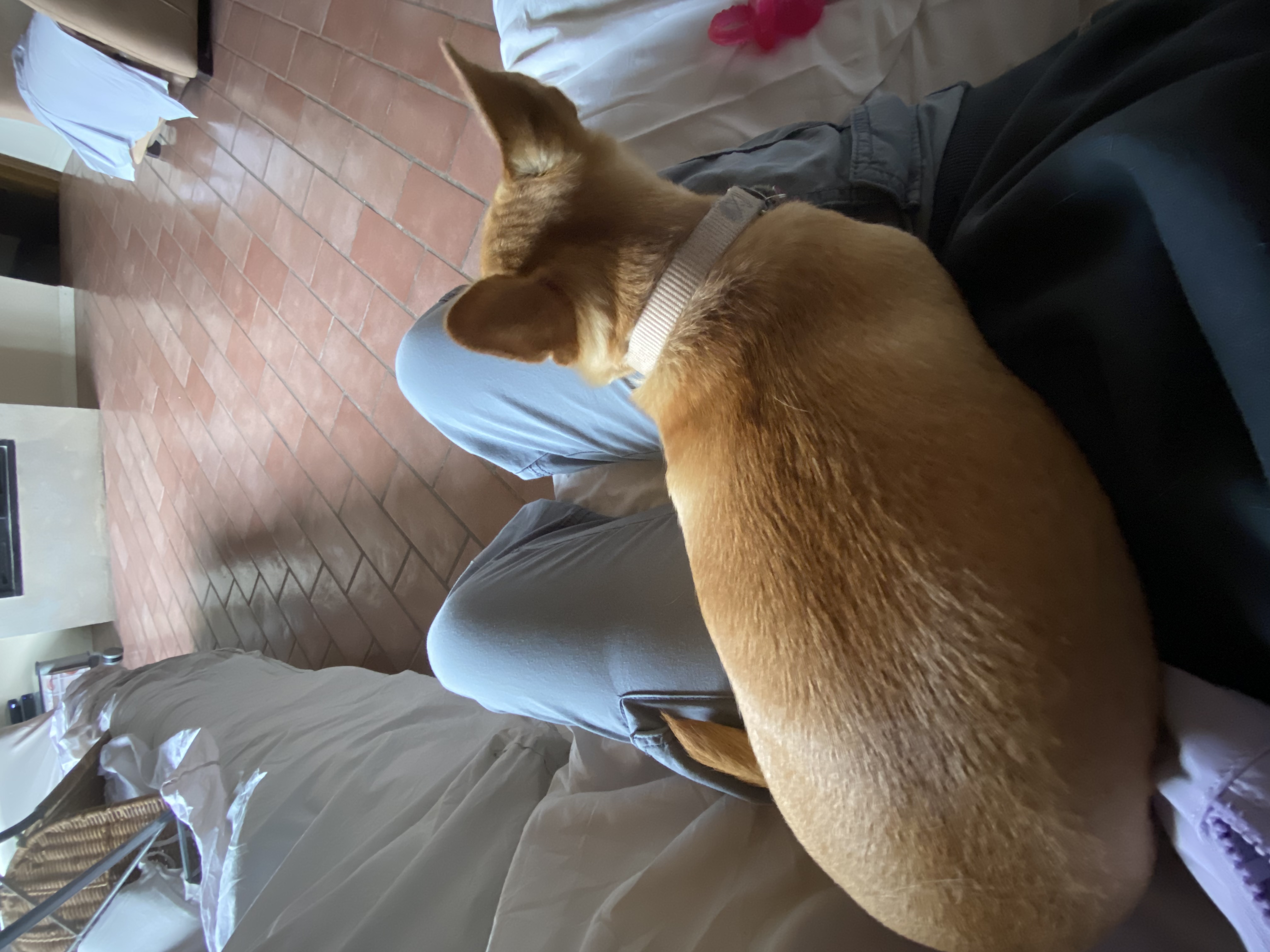 image-9