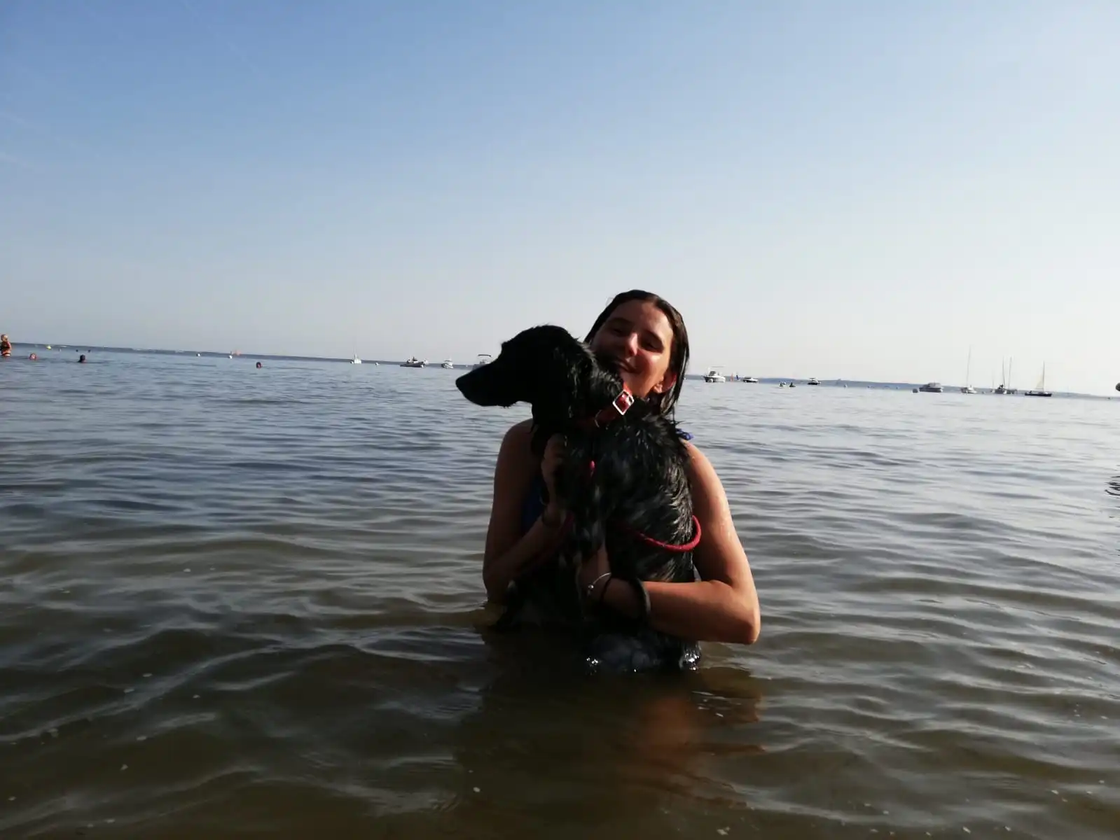 image-7