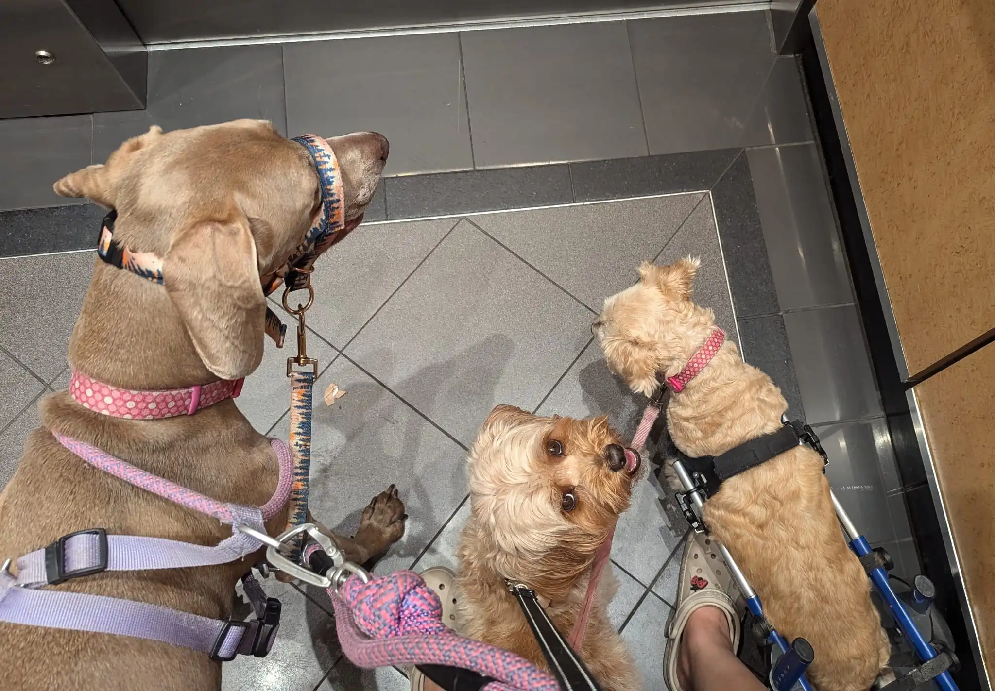 image-43