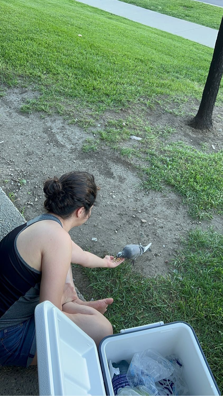 image-11