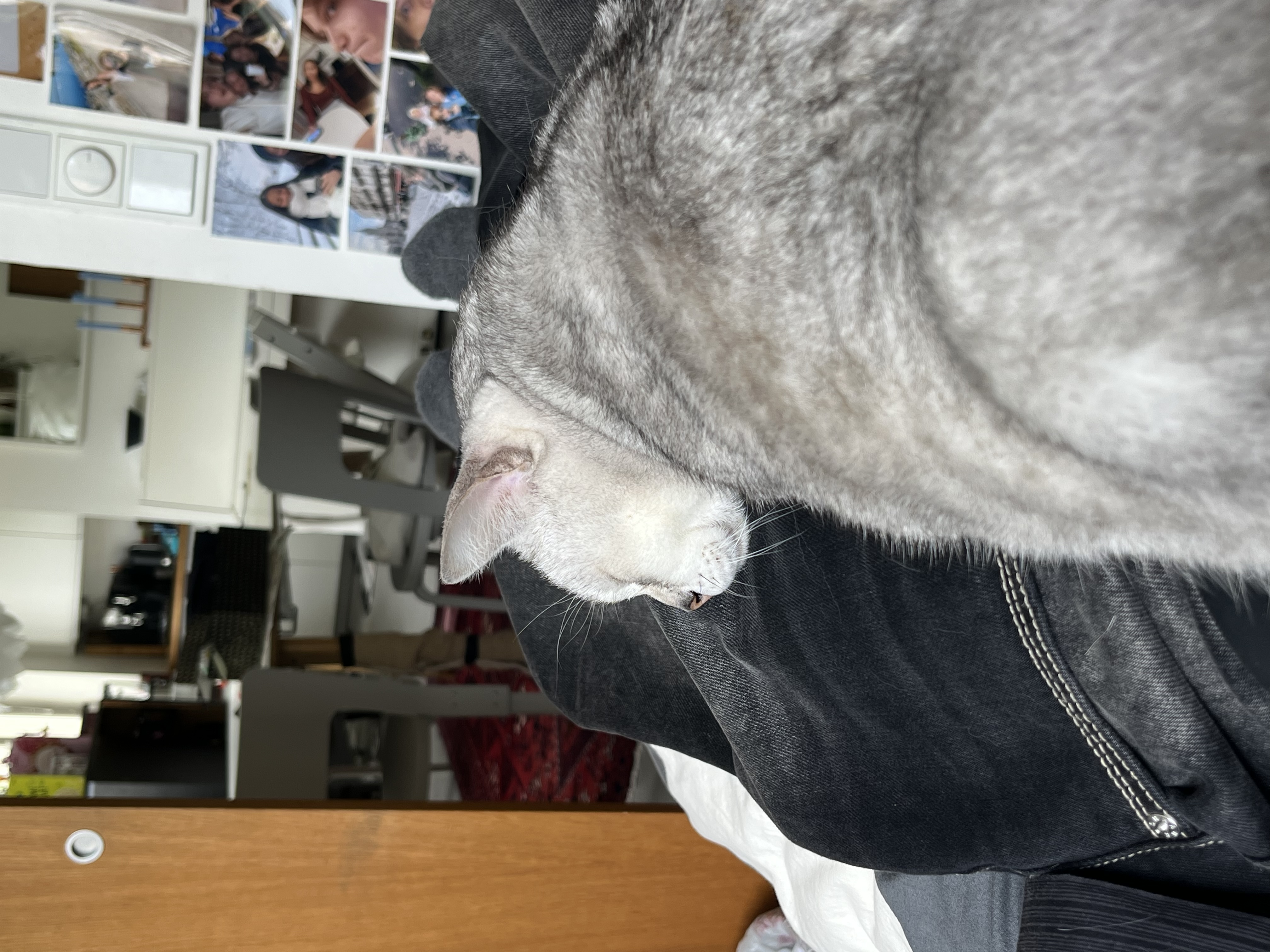 image-13