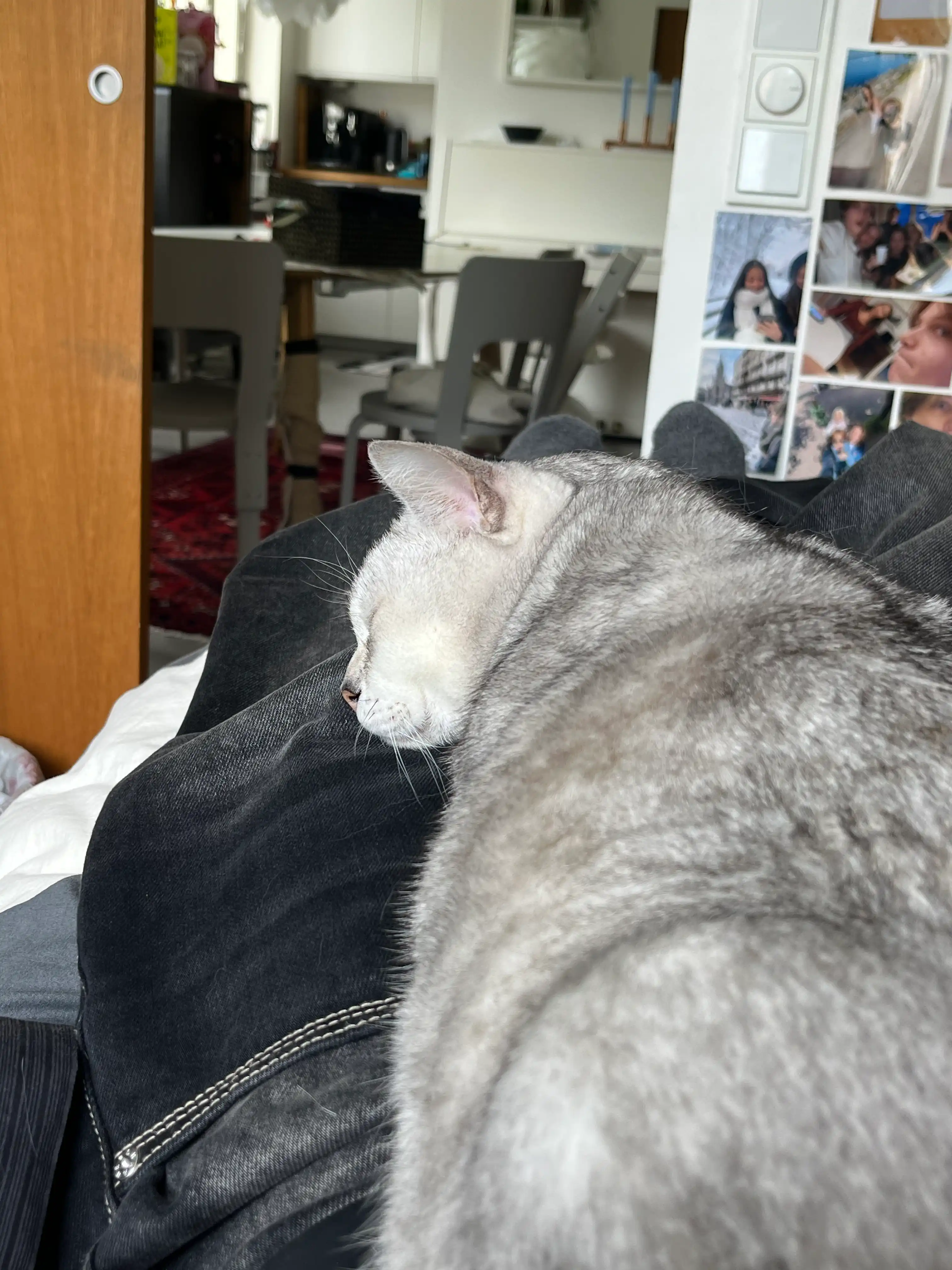 image-13