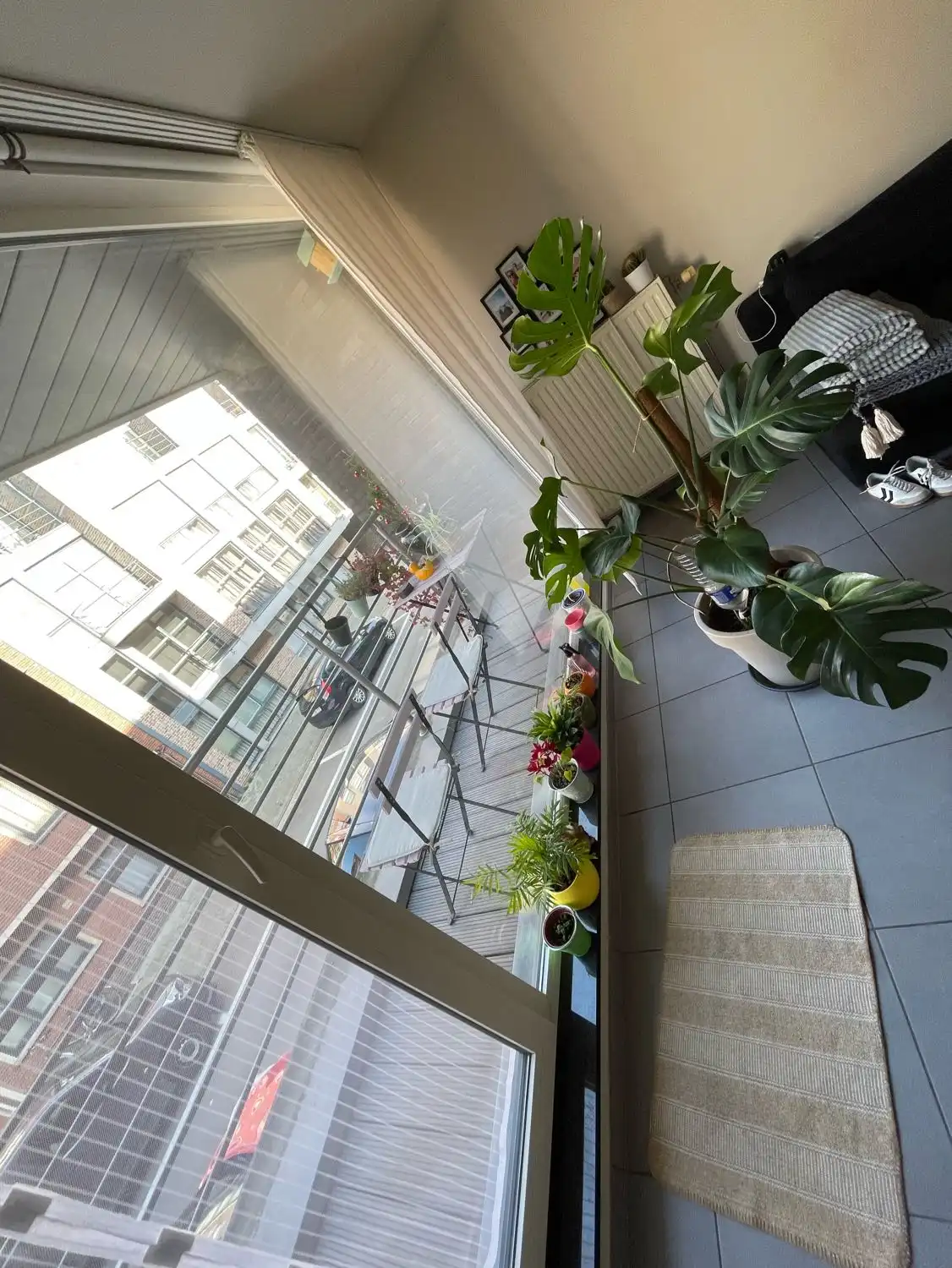 image-15