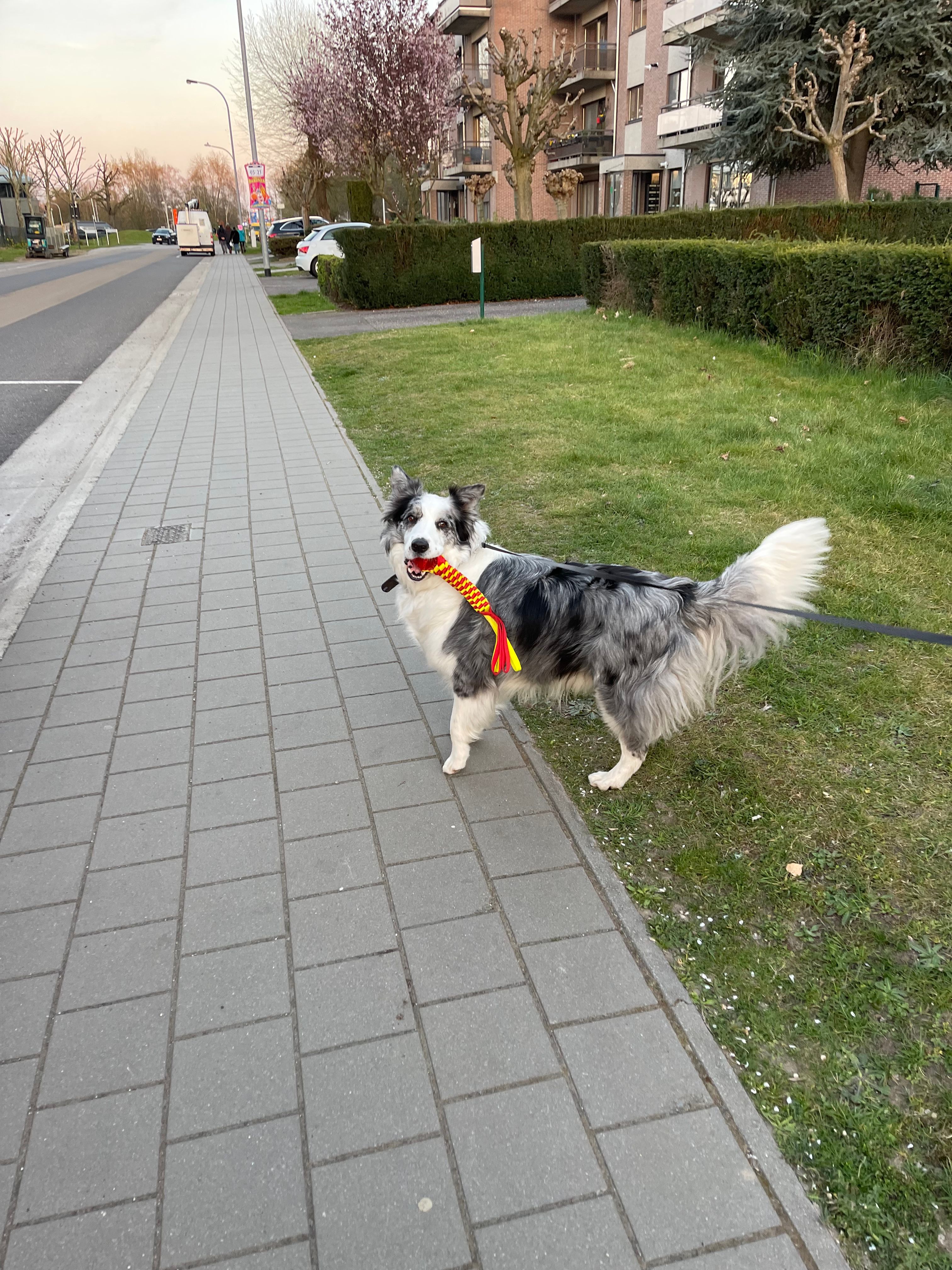 image-11