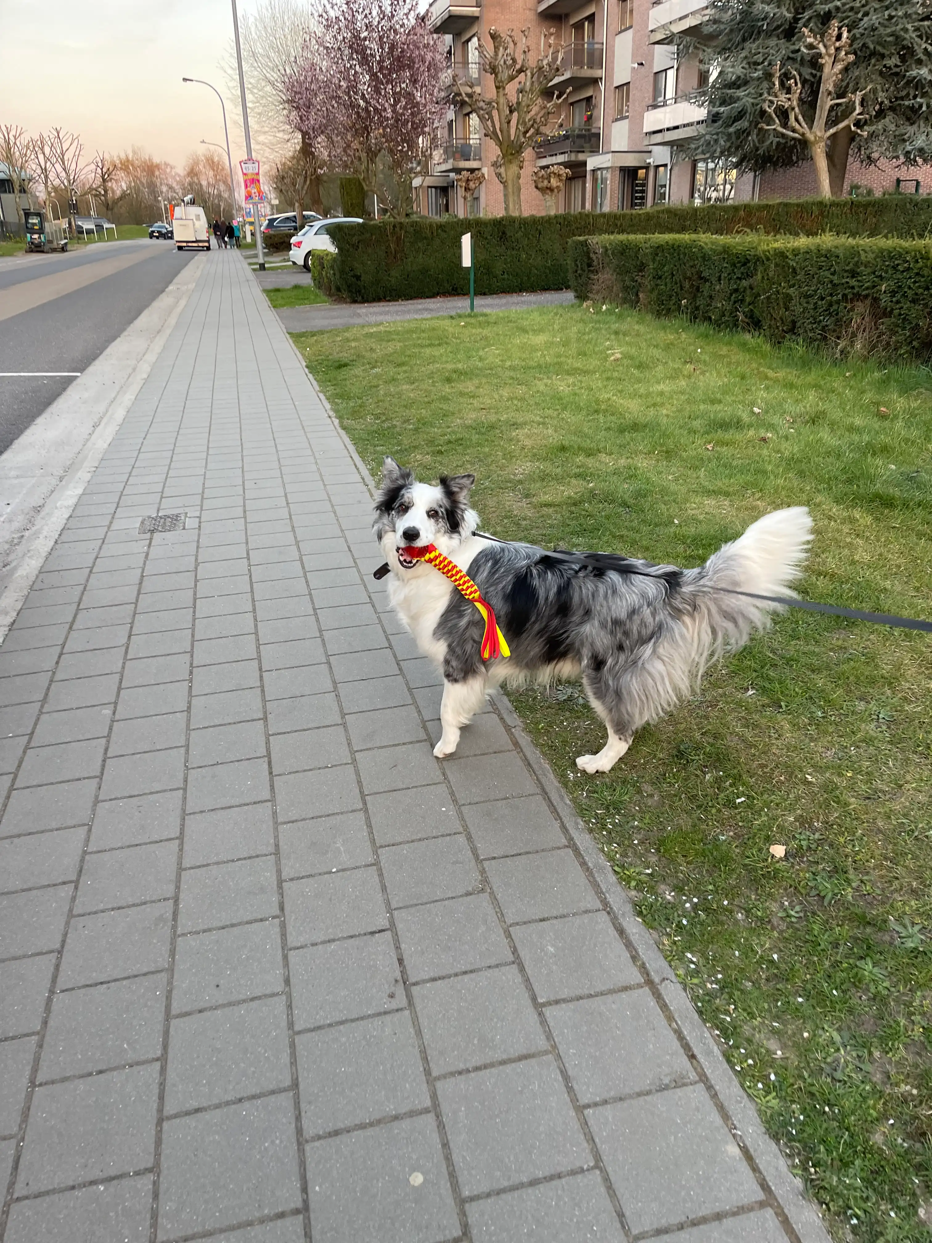 image-11