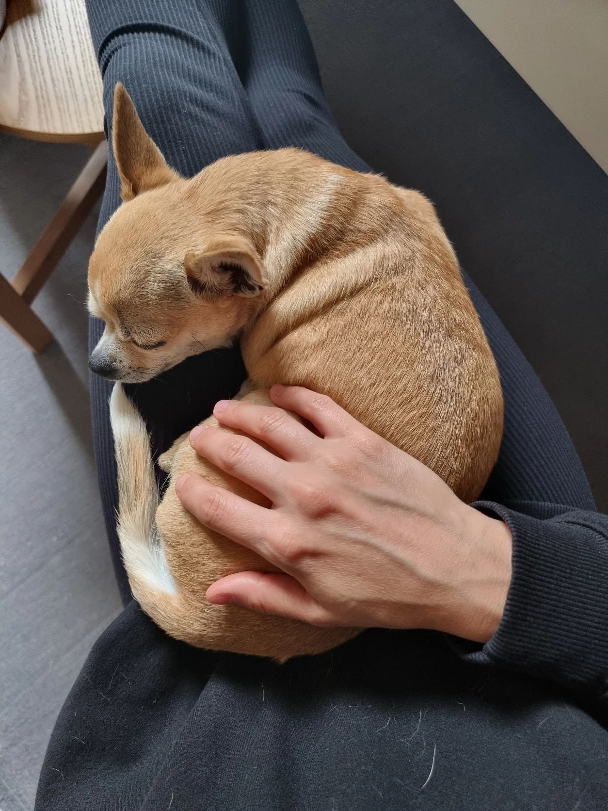 image-9