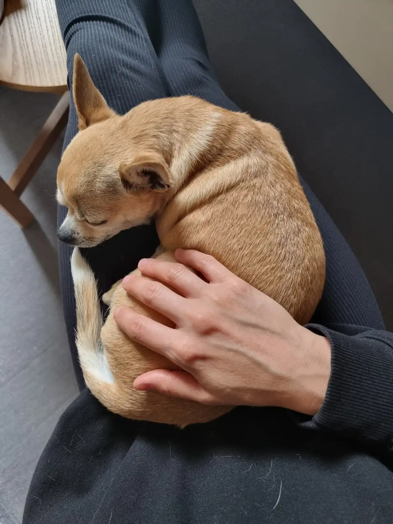 image-9
