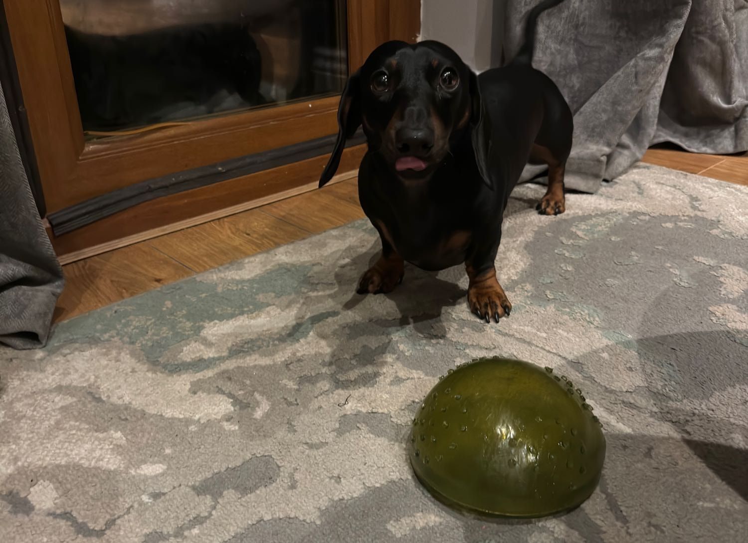 image-11