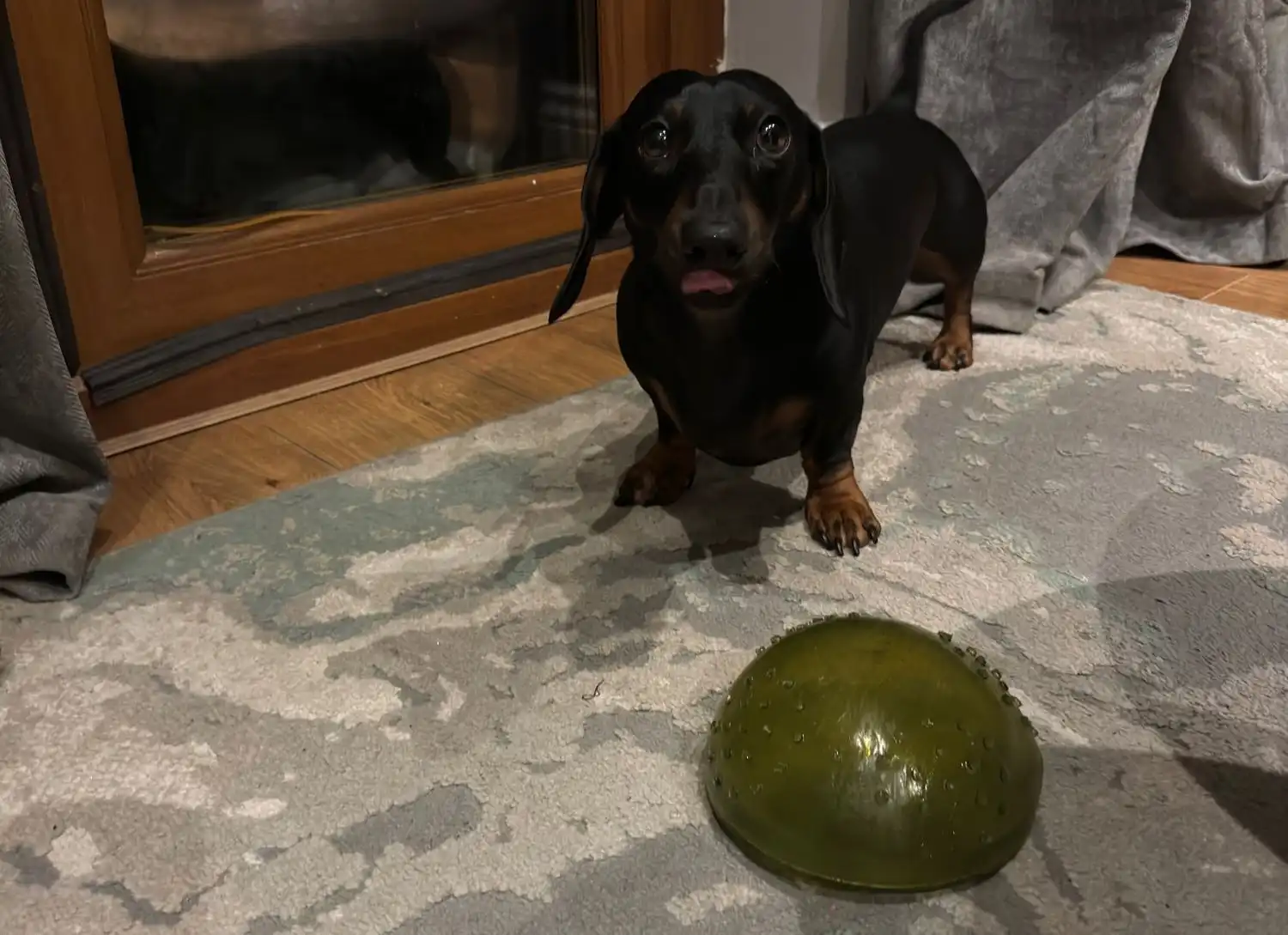 image-11