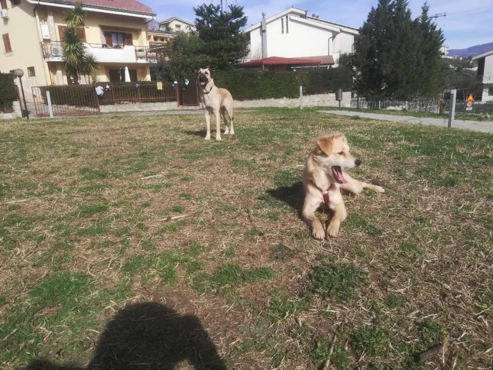 image-3