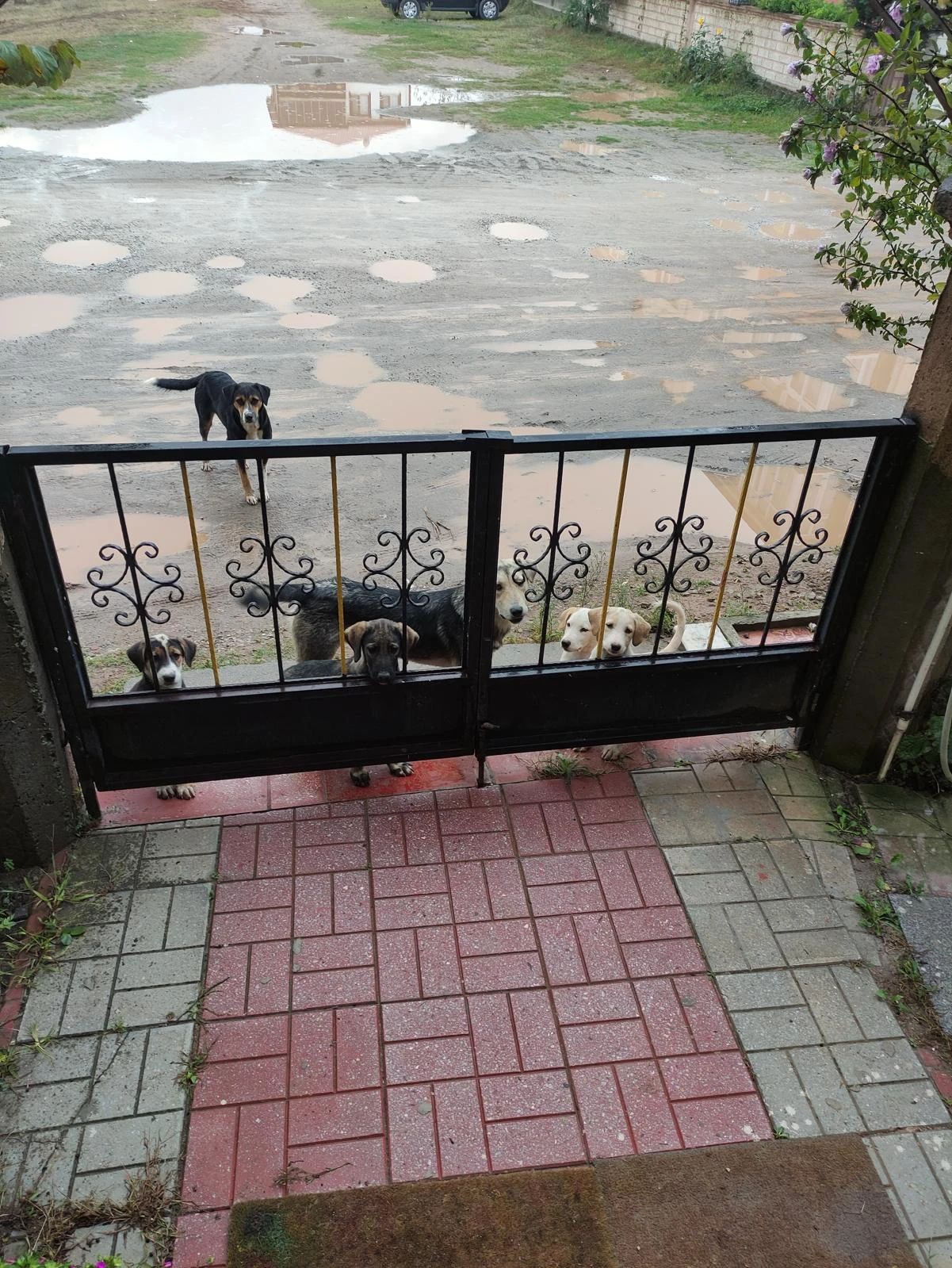 image-32