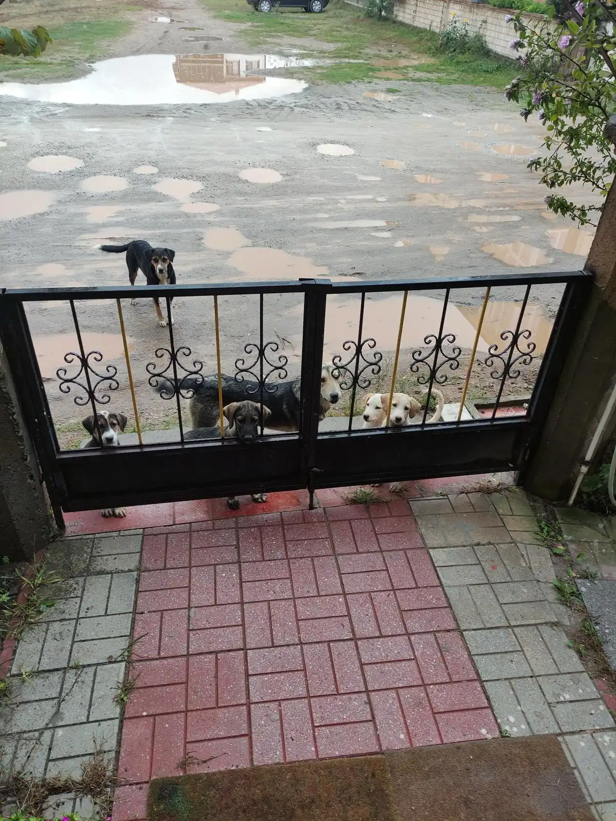 image-32