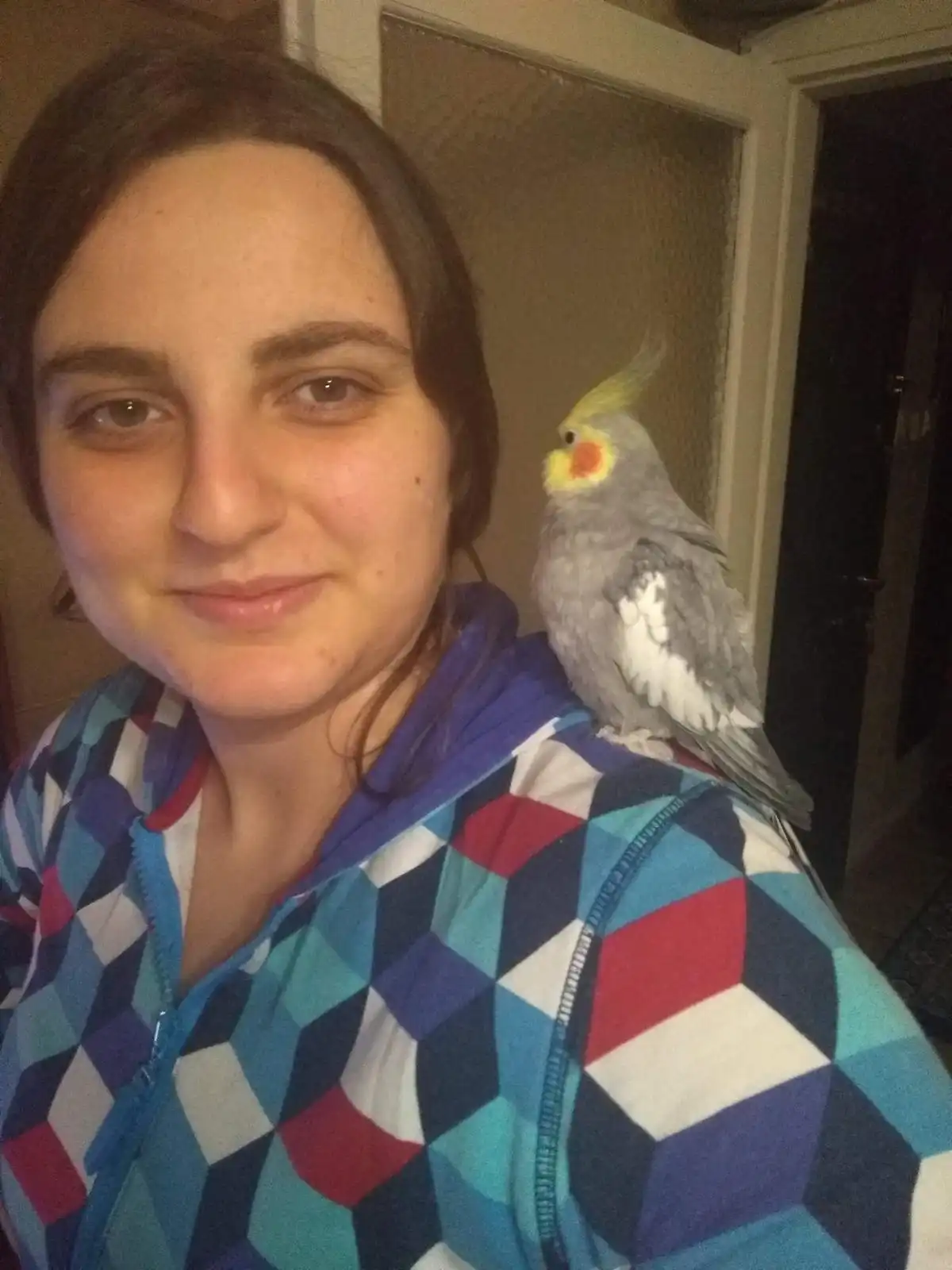 image-6