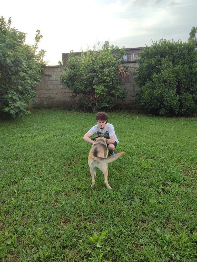 image-0