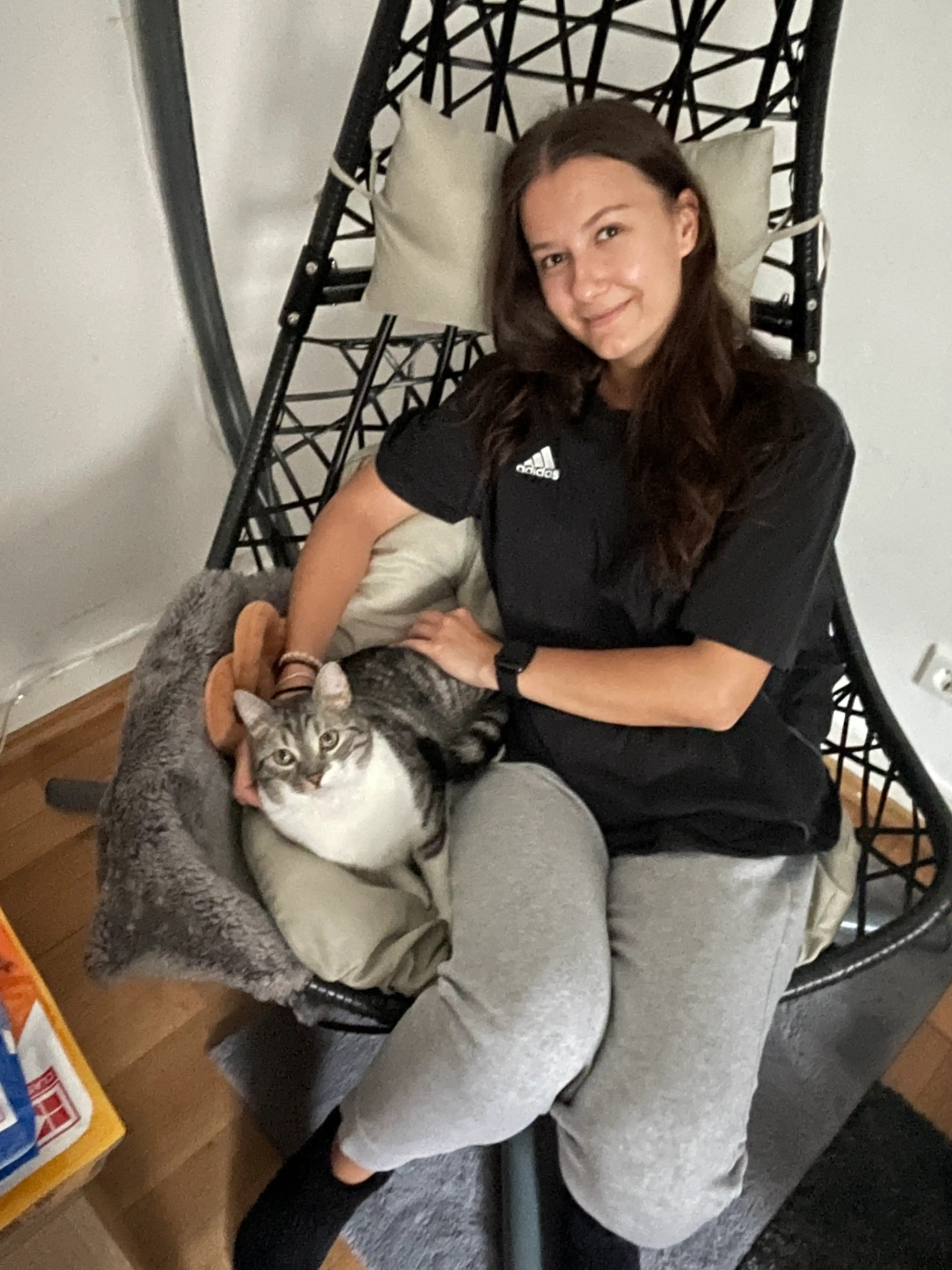image-8