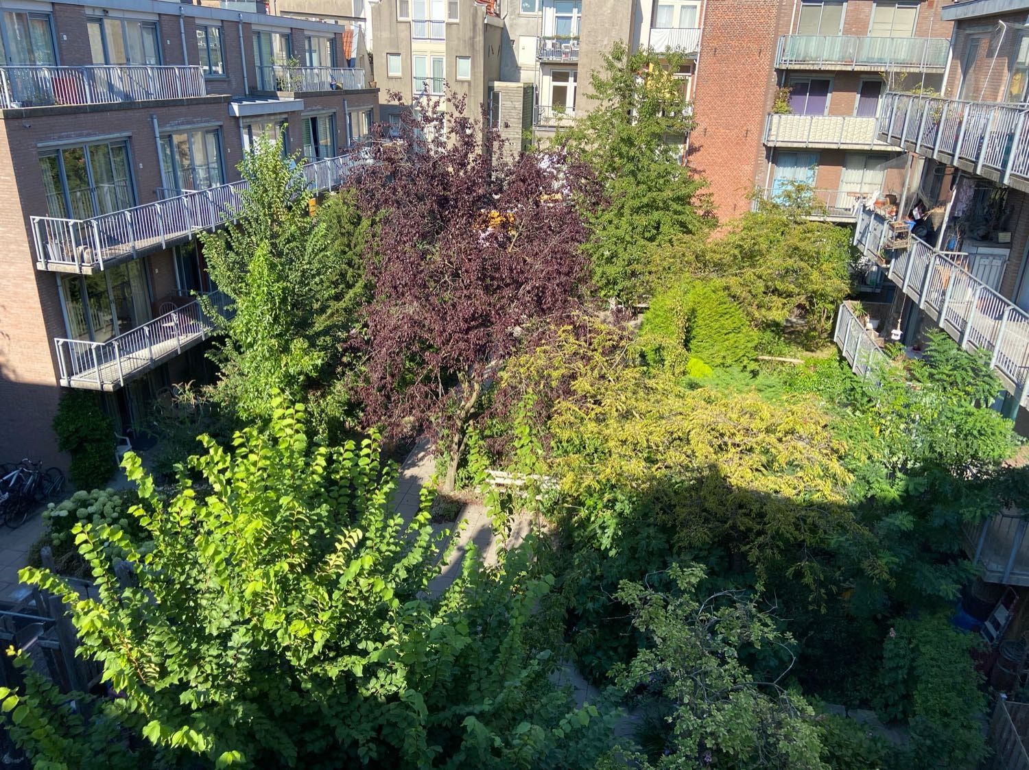 image-7