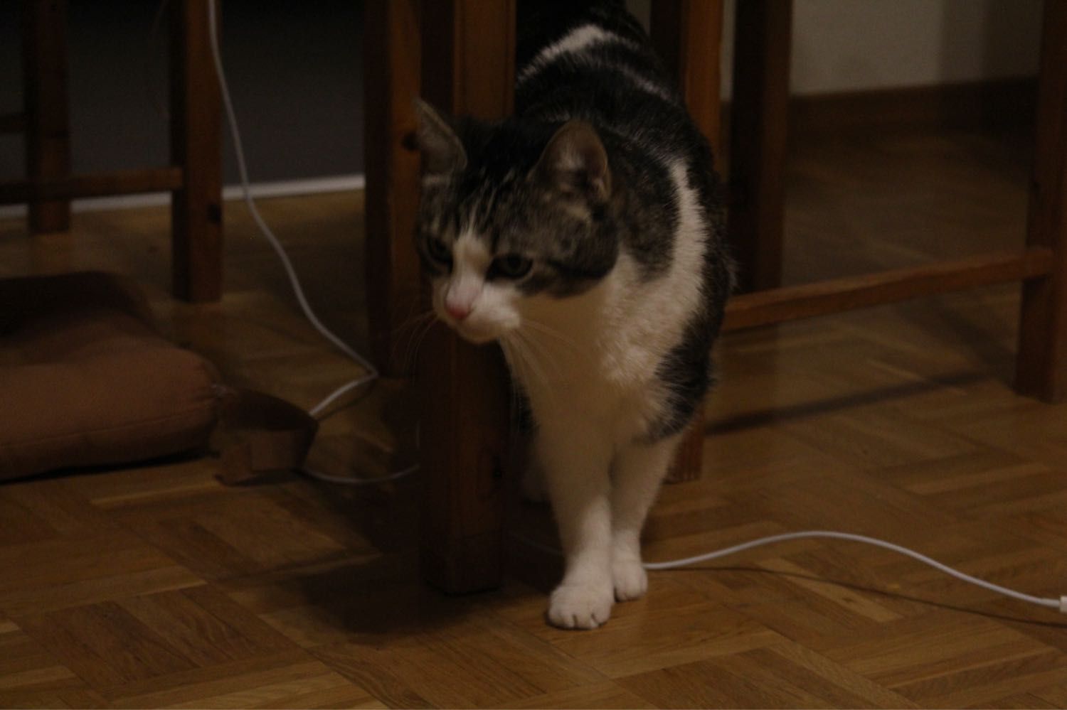 image-4