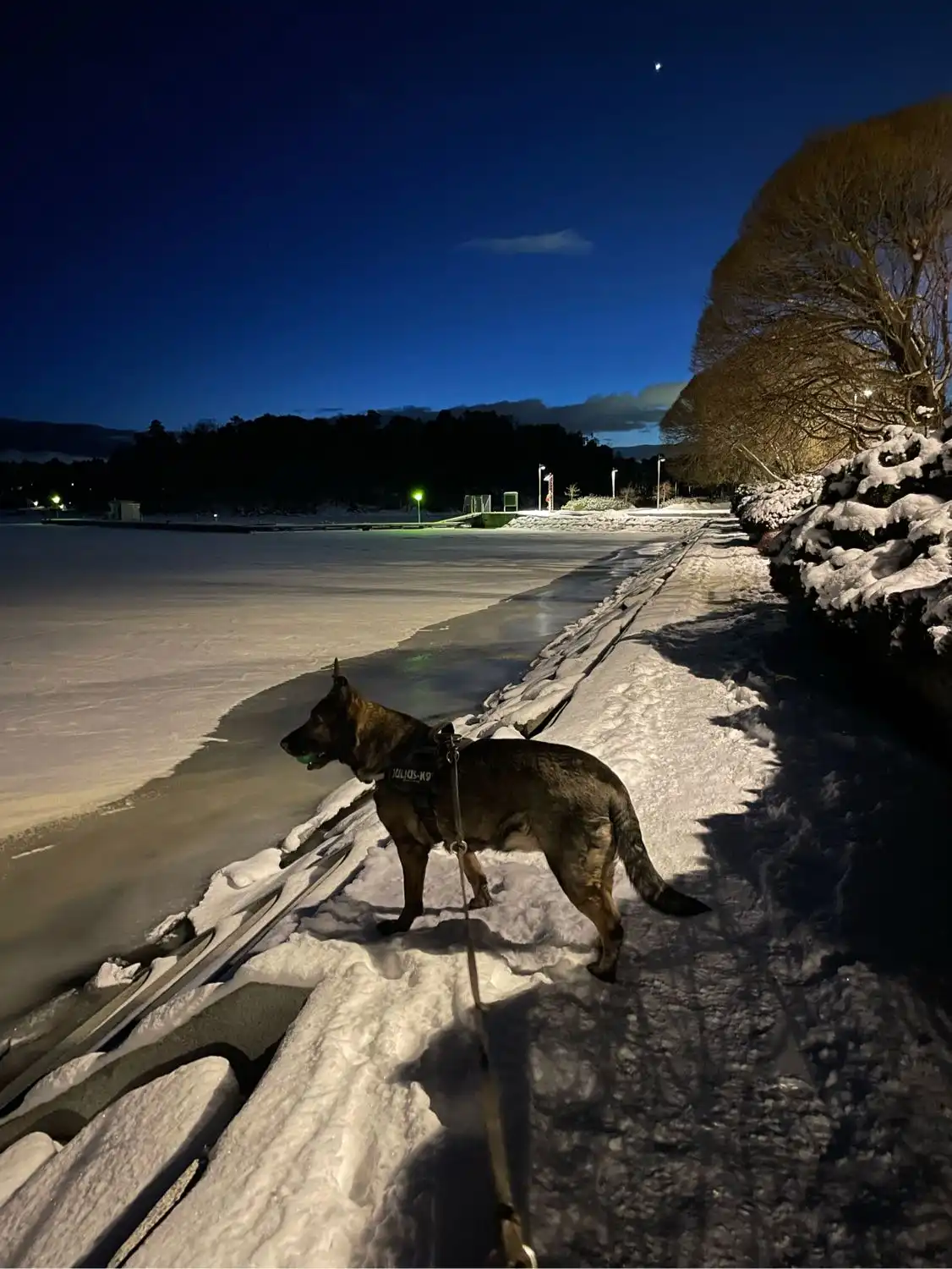 image-42