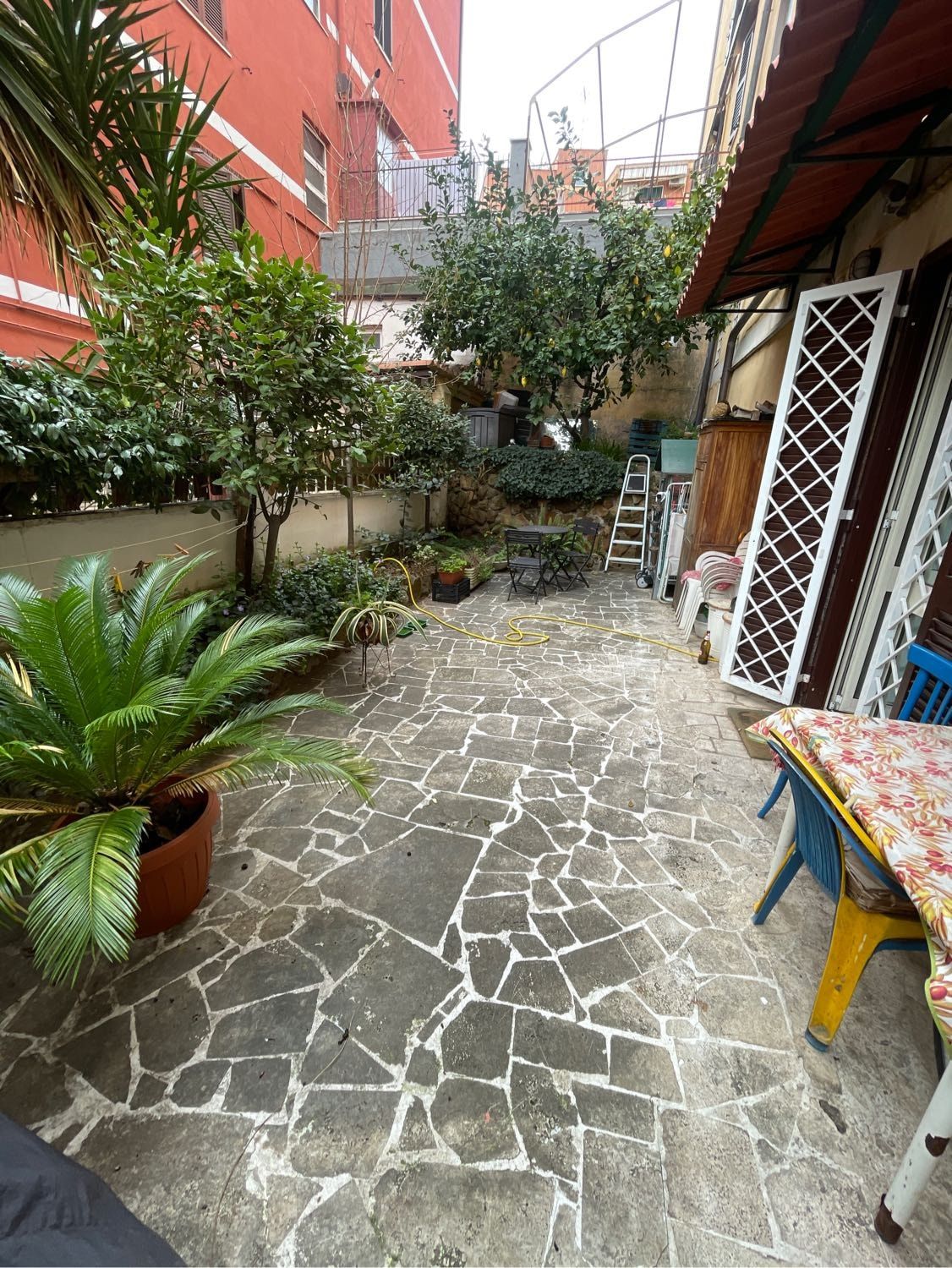 image-8