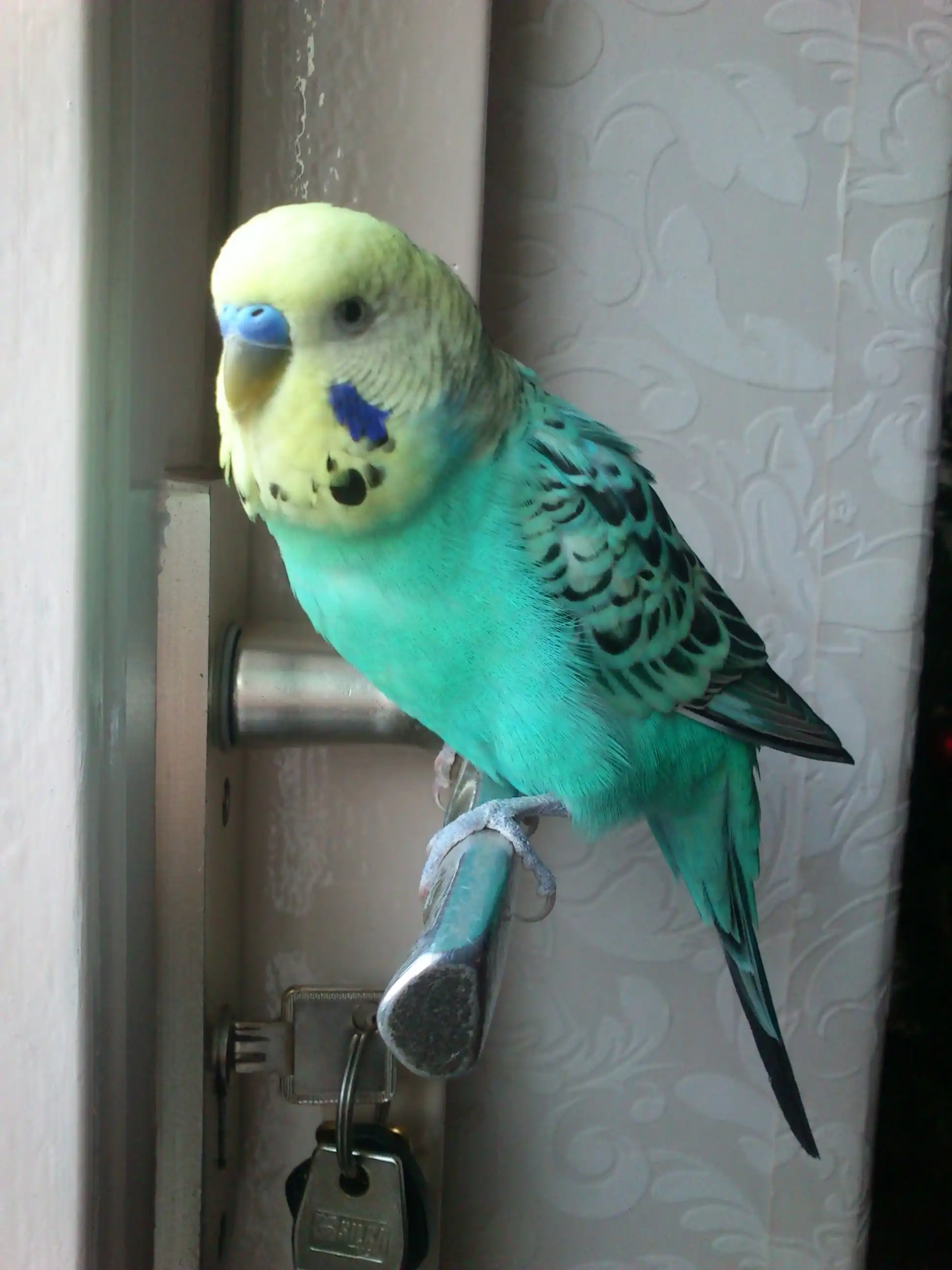 image-9