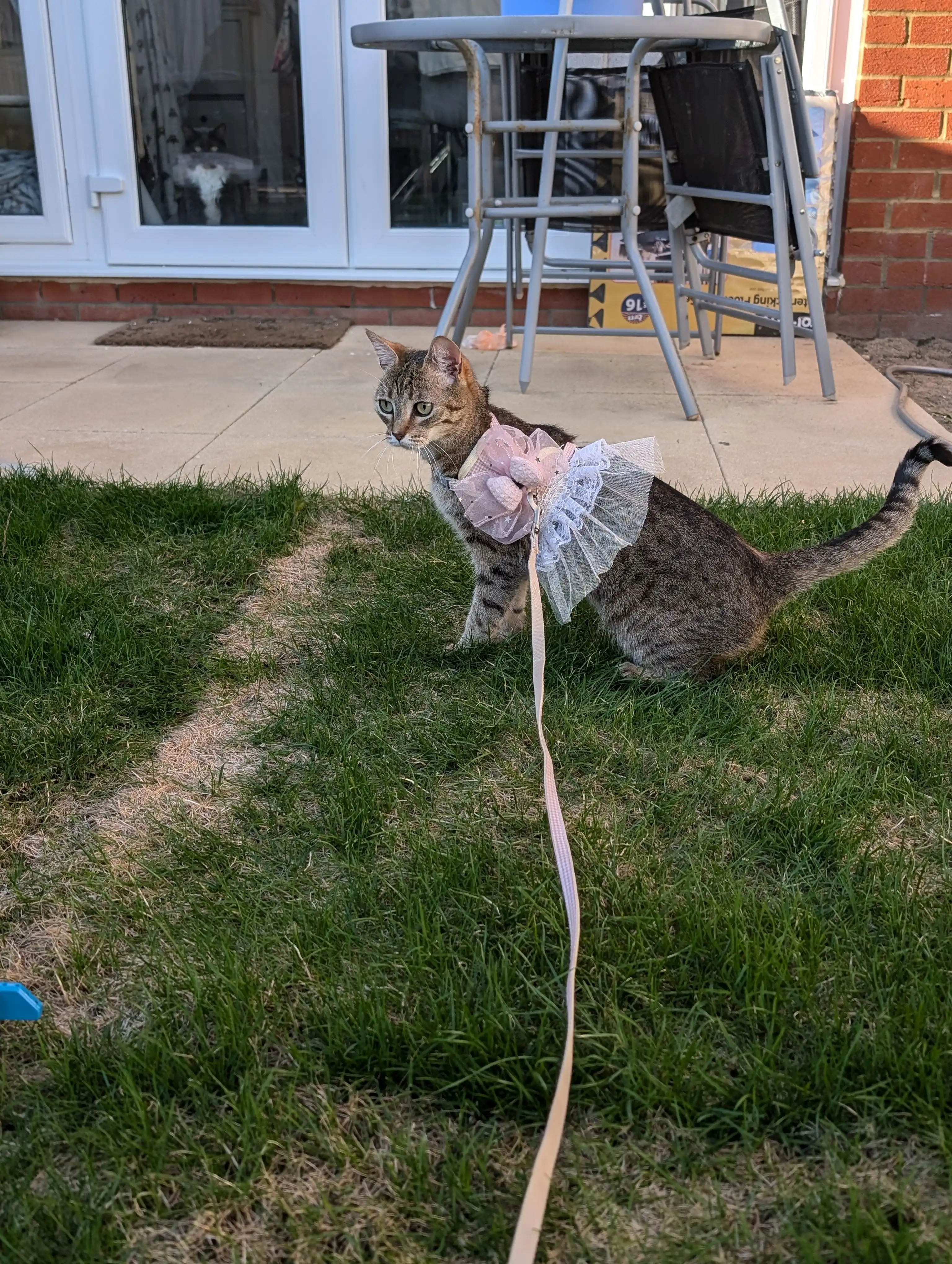 image-8