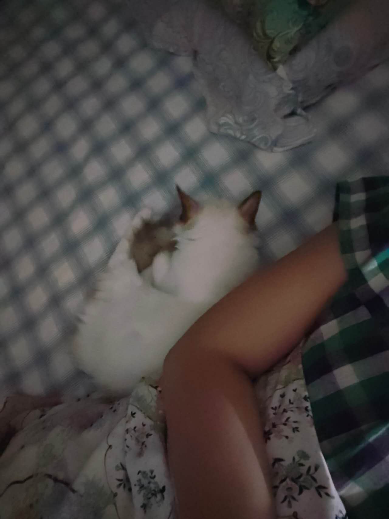 image-4