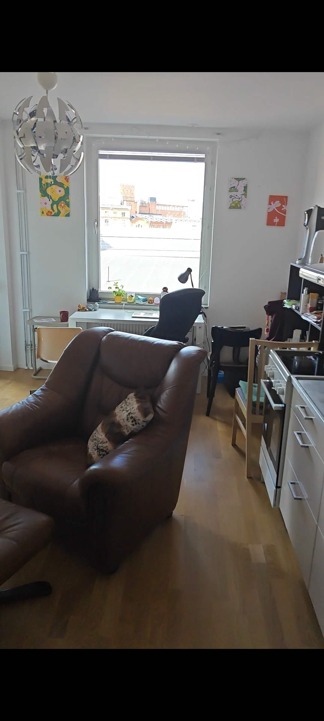 image-8
