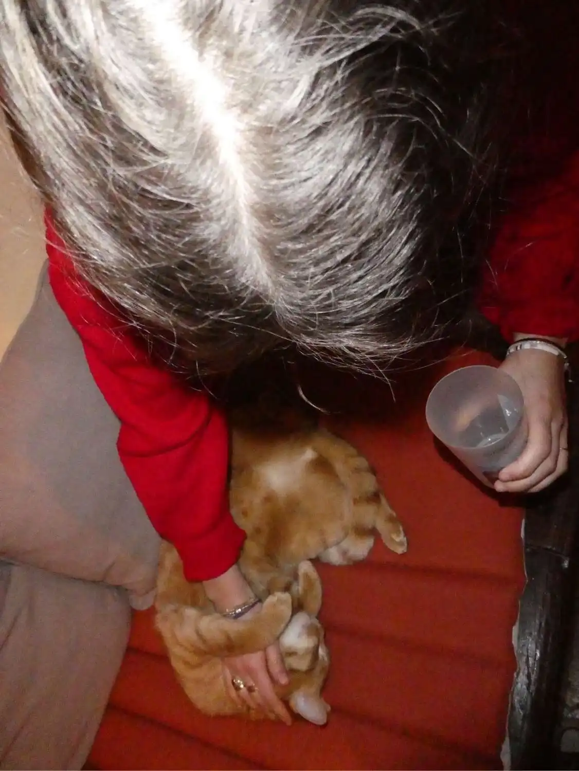 image-7