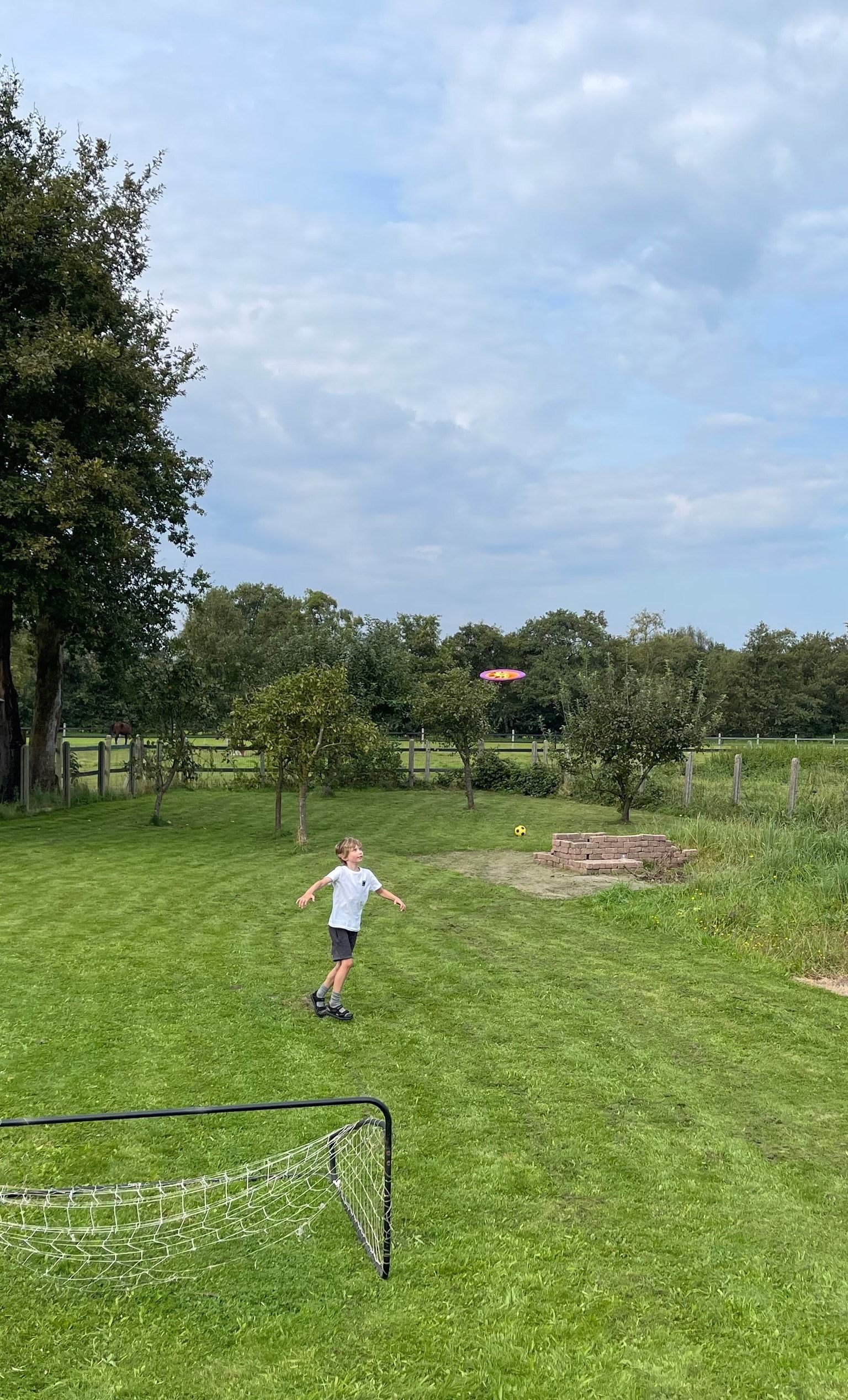 image-19