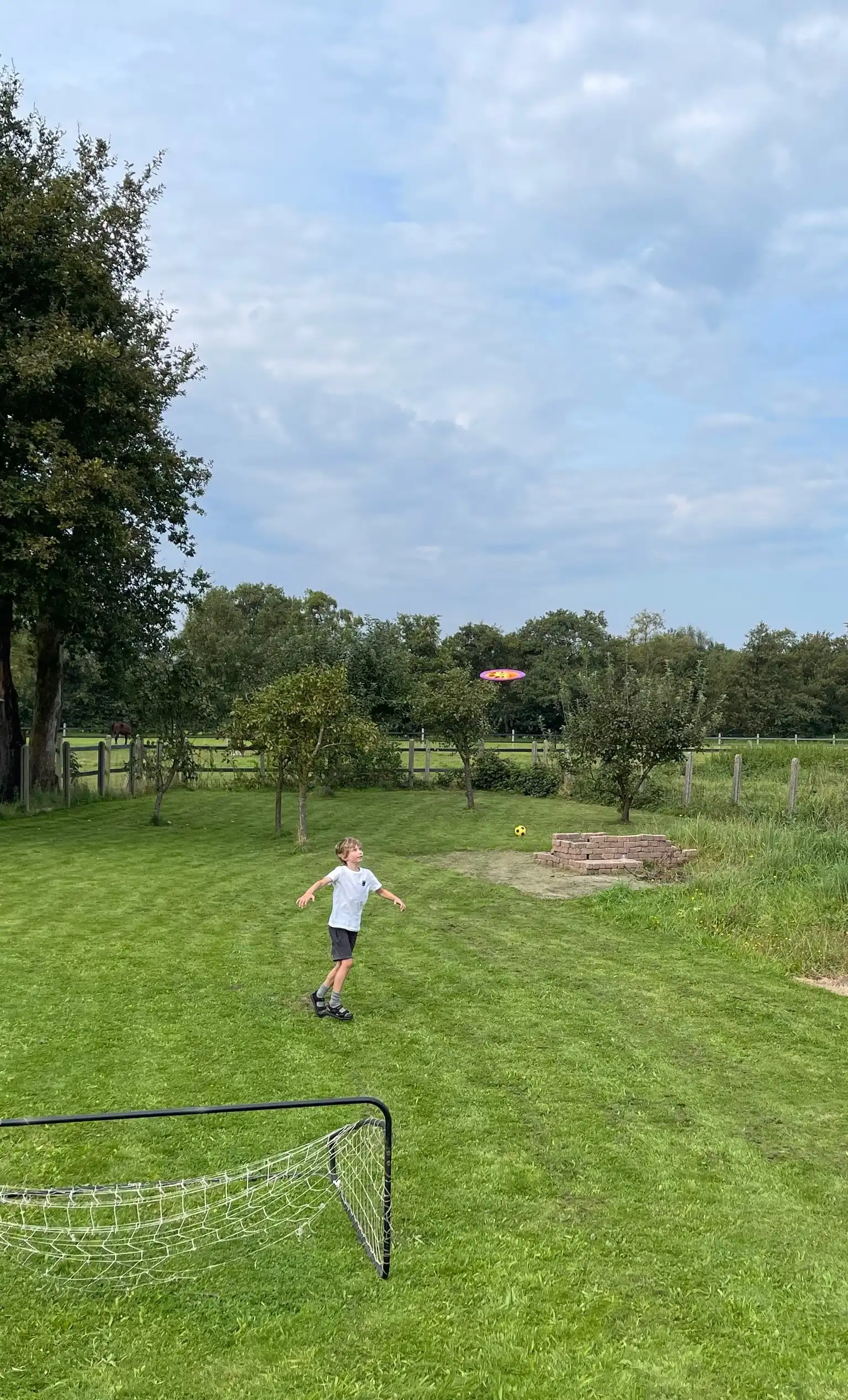 image-19