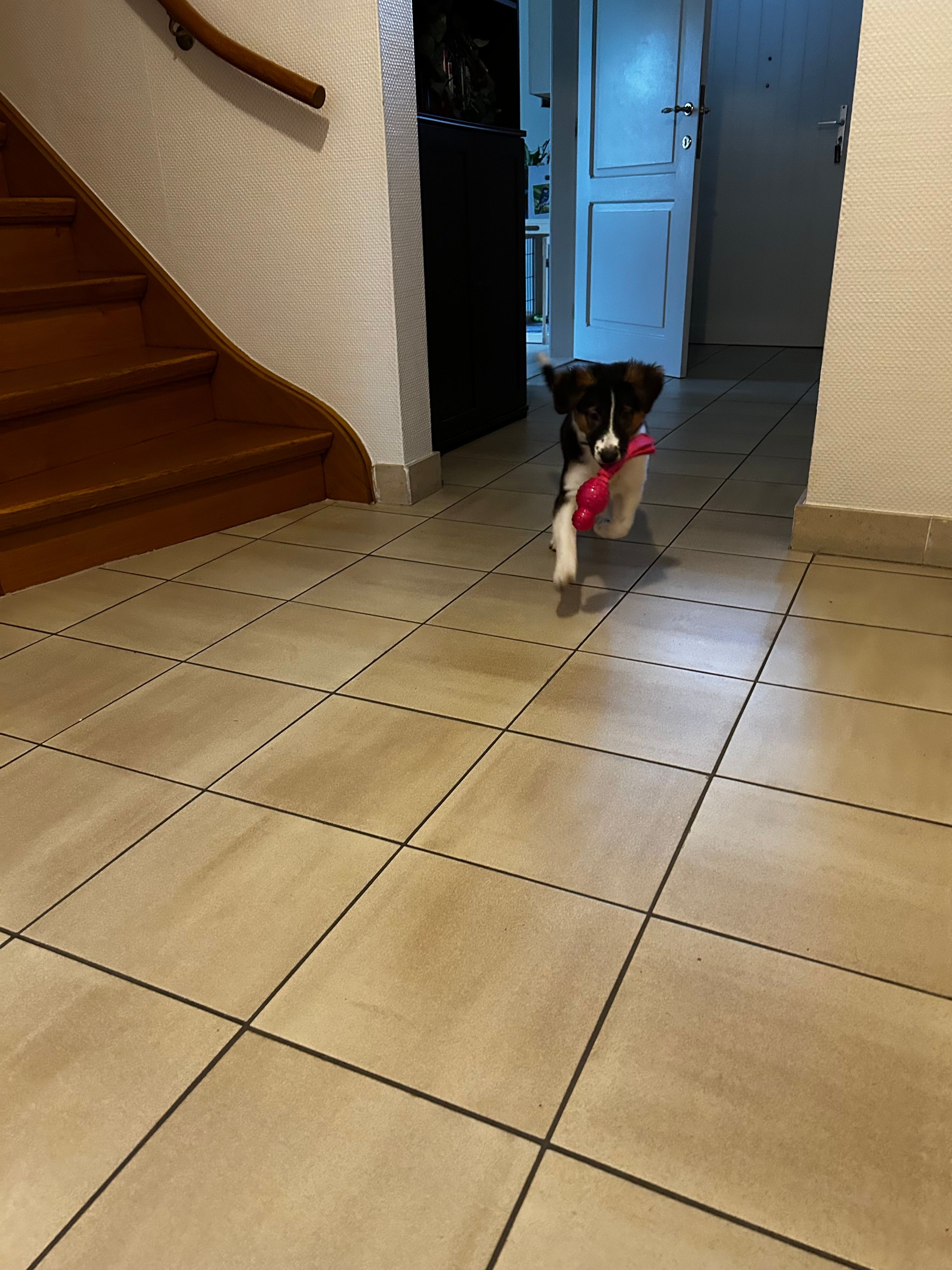 image-17