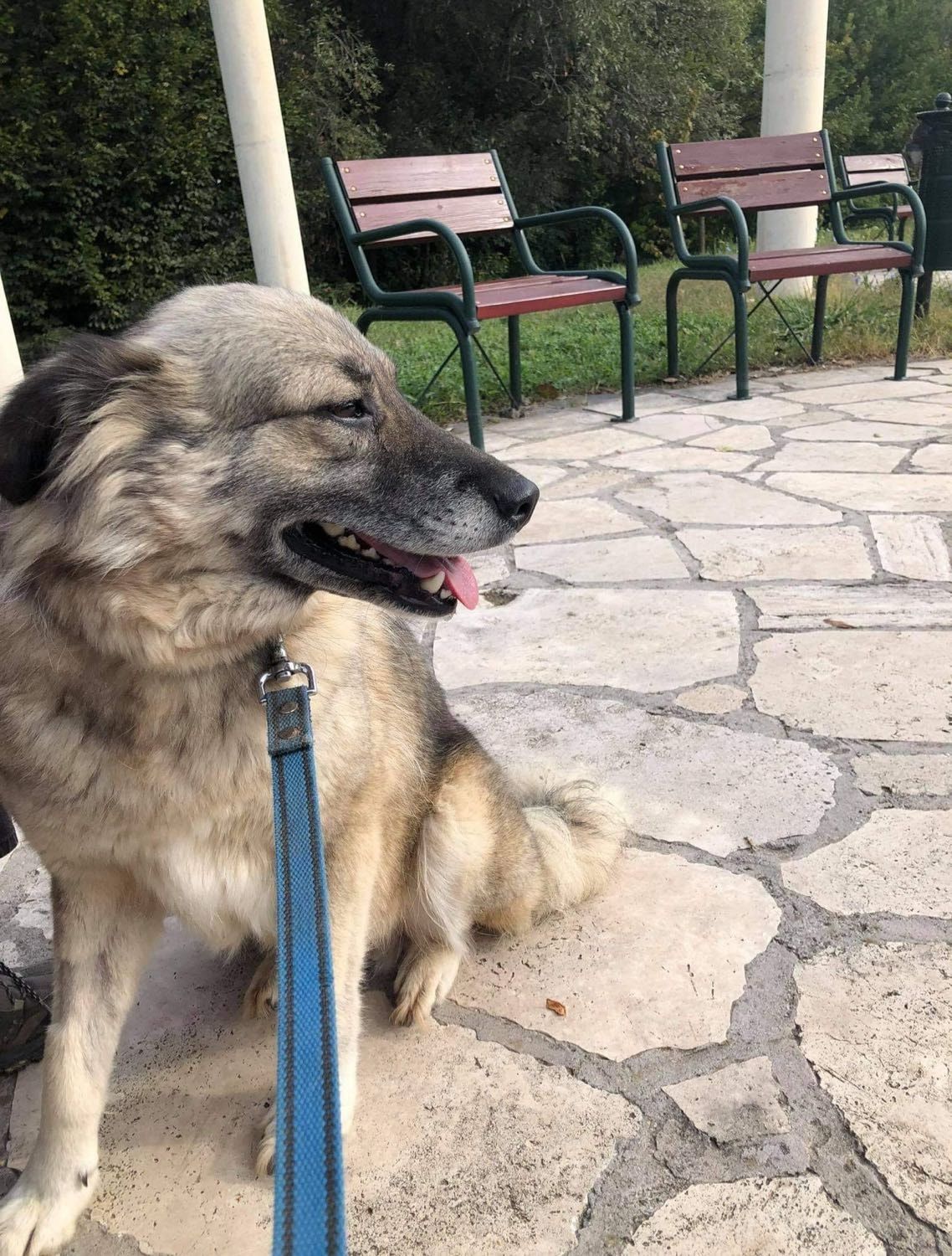 image-8