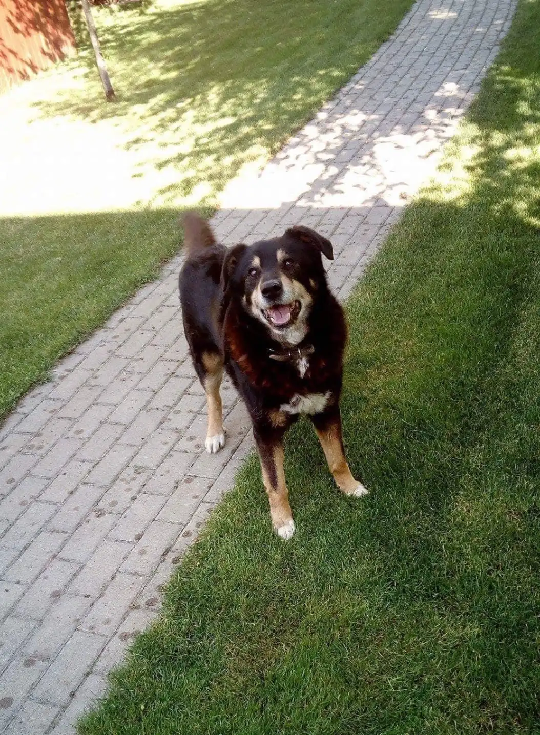image-9