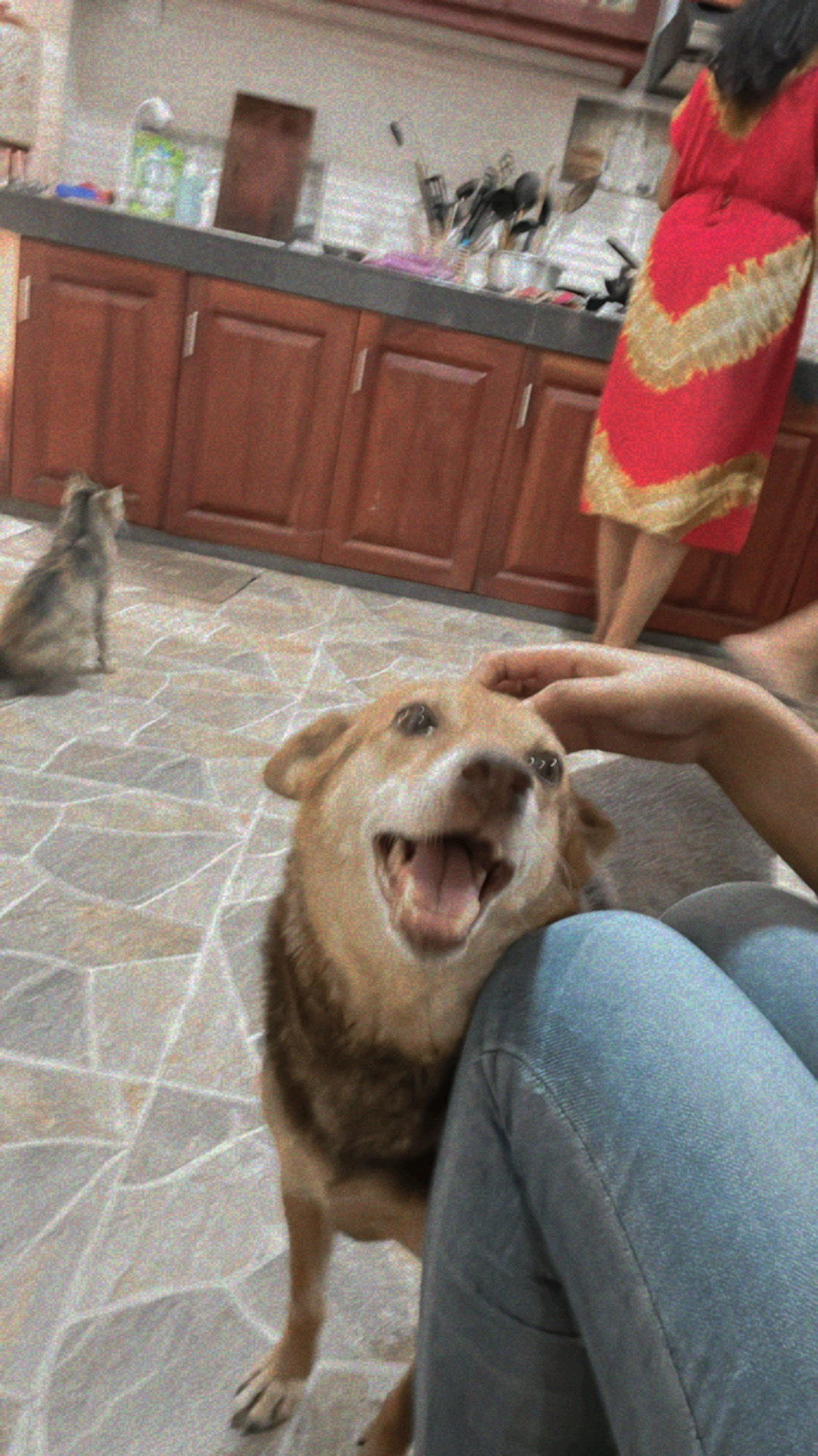 image-6