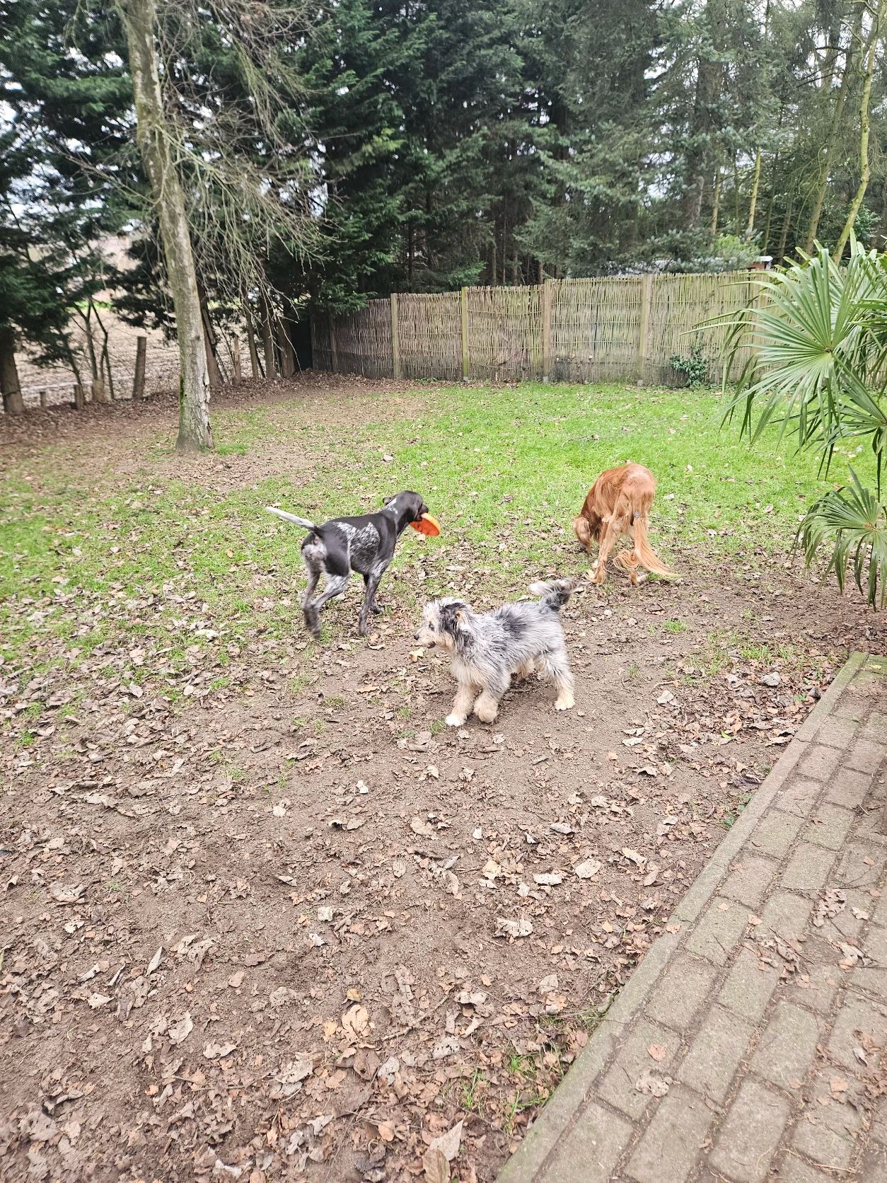 image-6