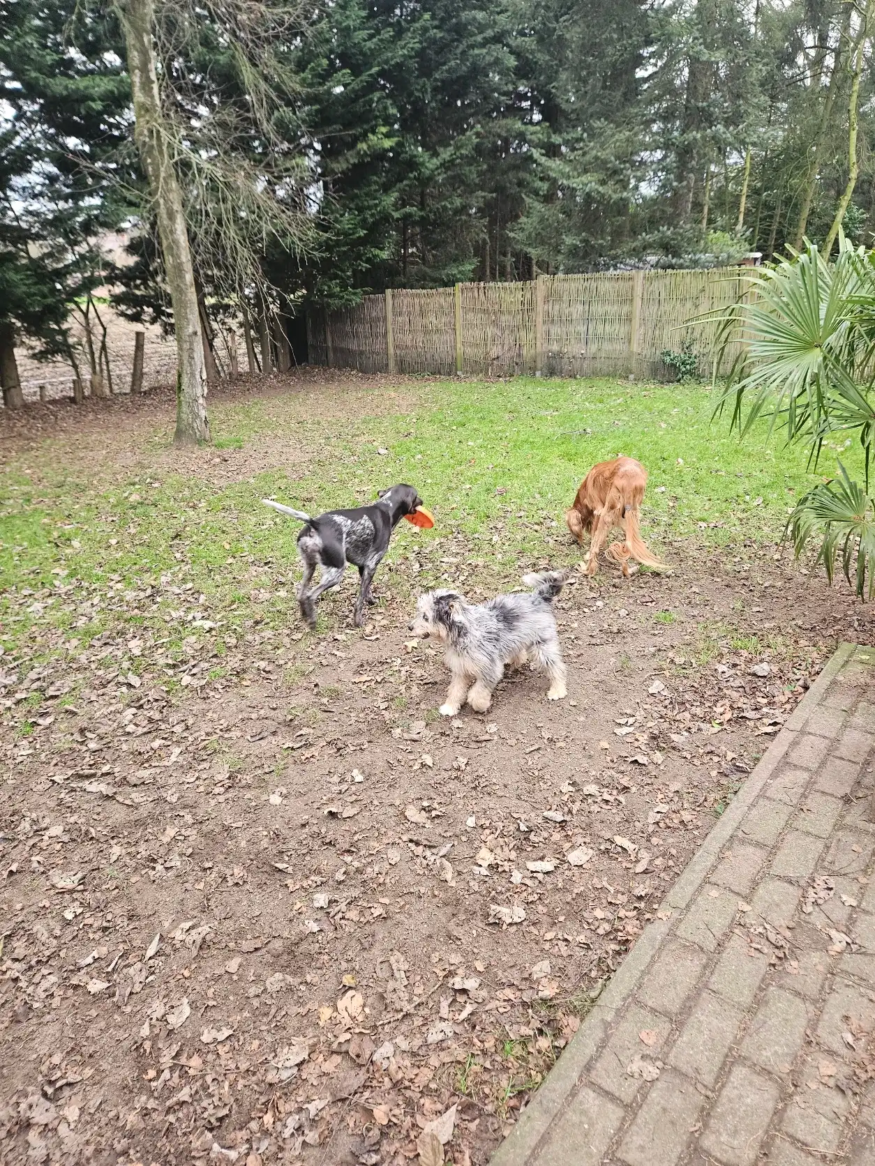 image-6