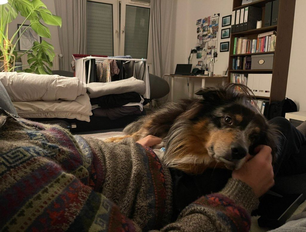 image-2