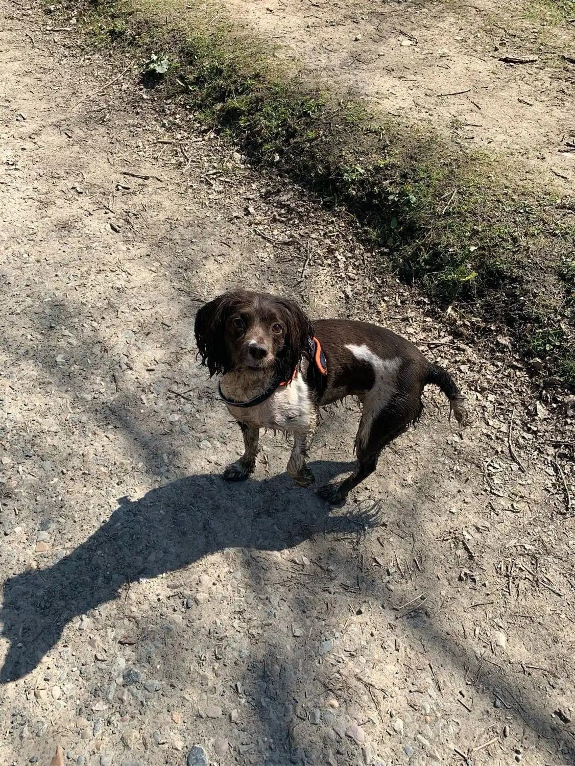 image-7