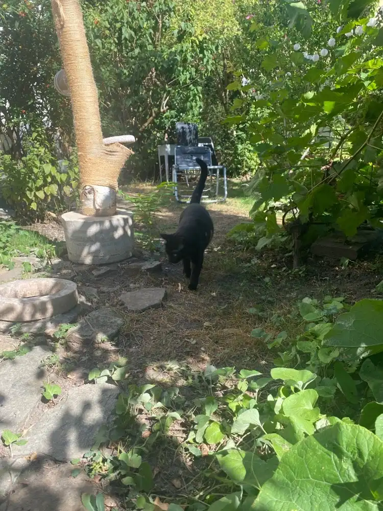 image-8