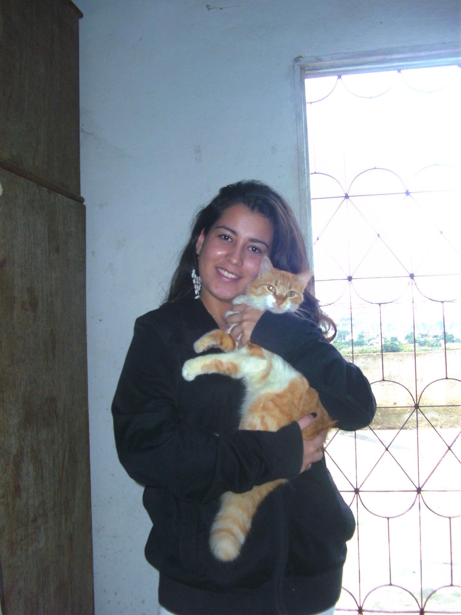 image-7