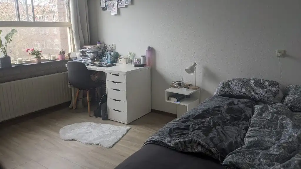 image-7