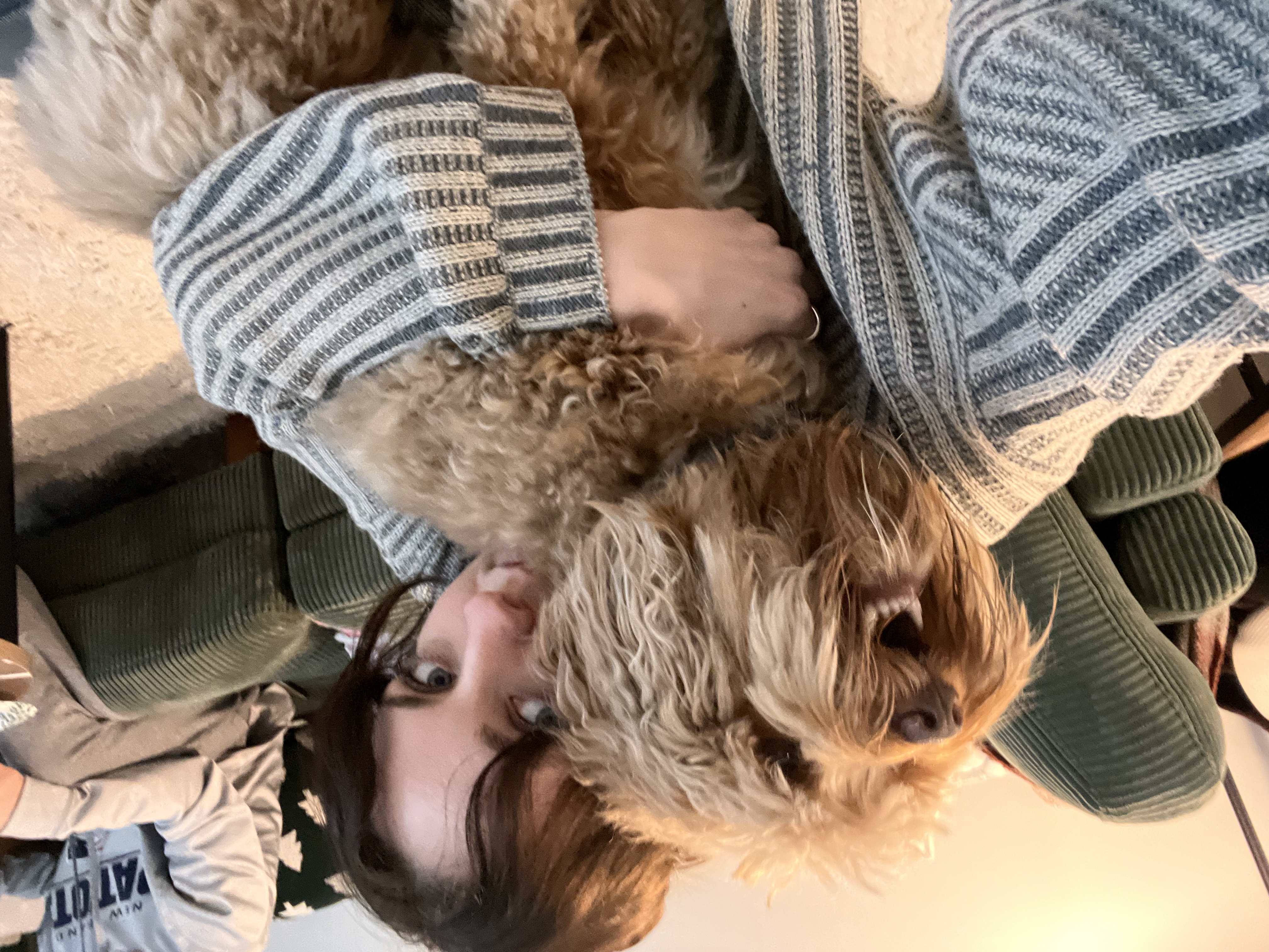 image-6