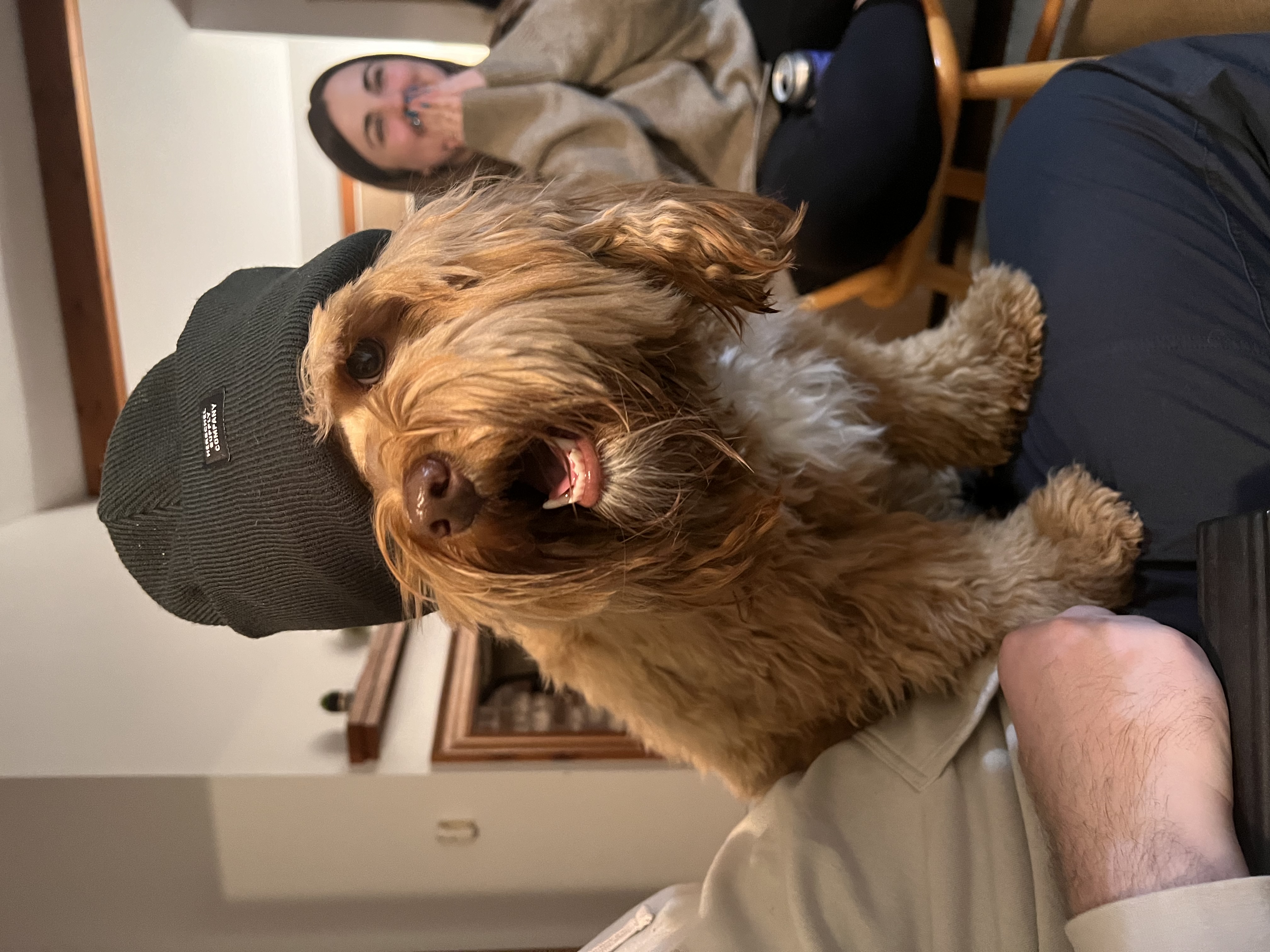 image-9