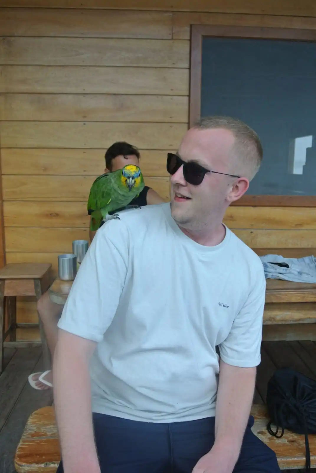 image-7